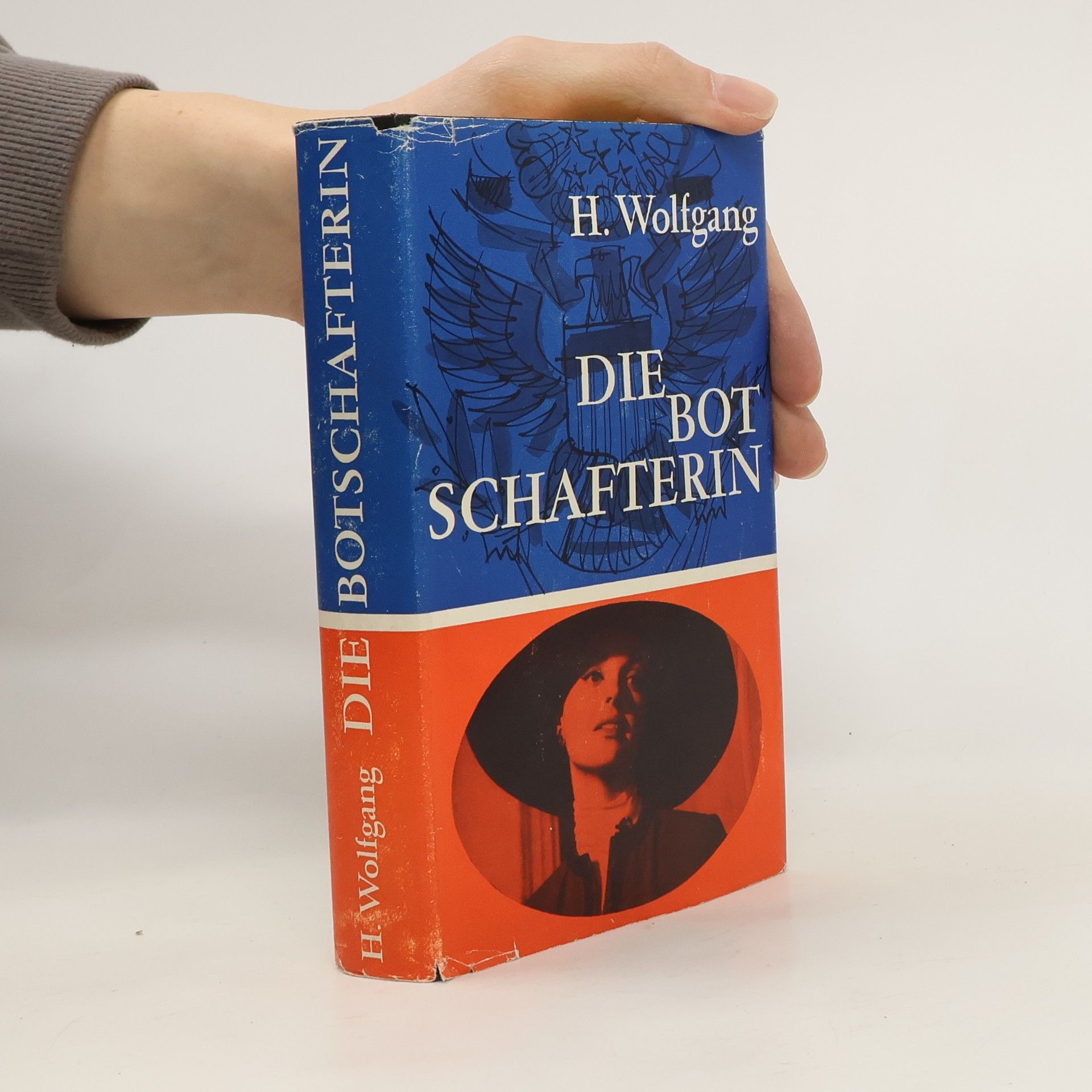 Hans-Wolfgang Wetzel Die Botschafterin