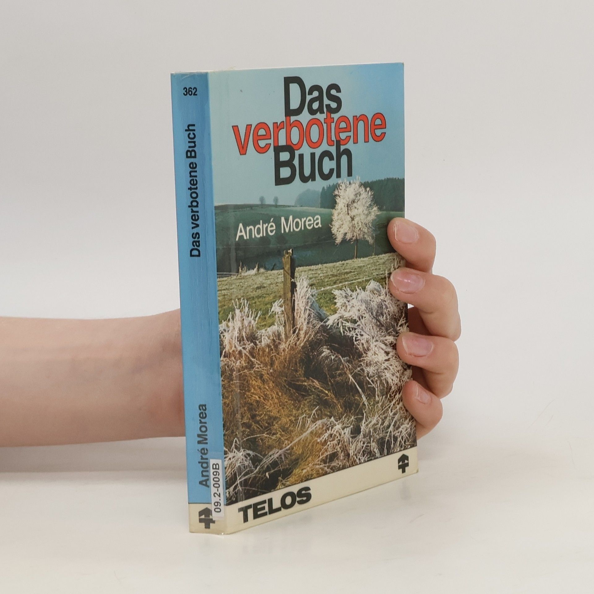André Morea Das verbotene Buch
