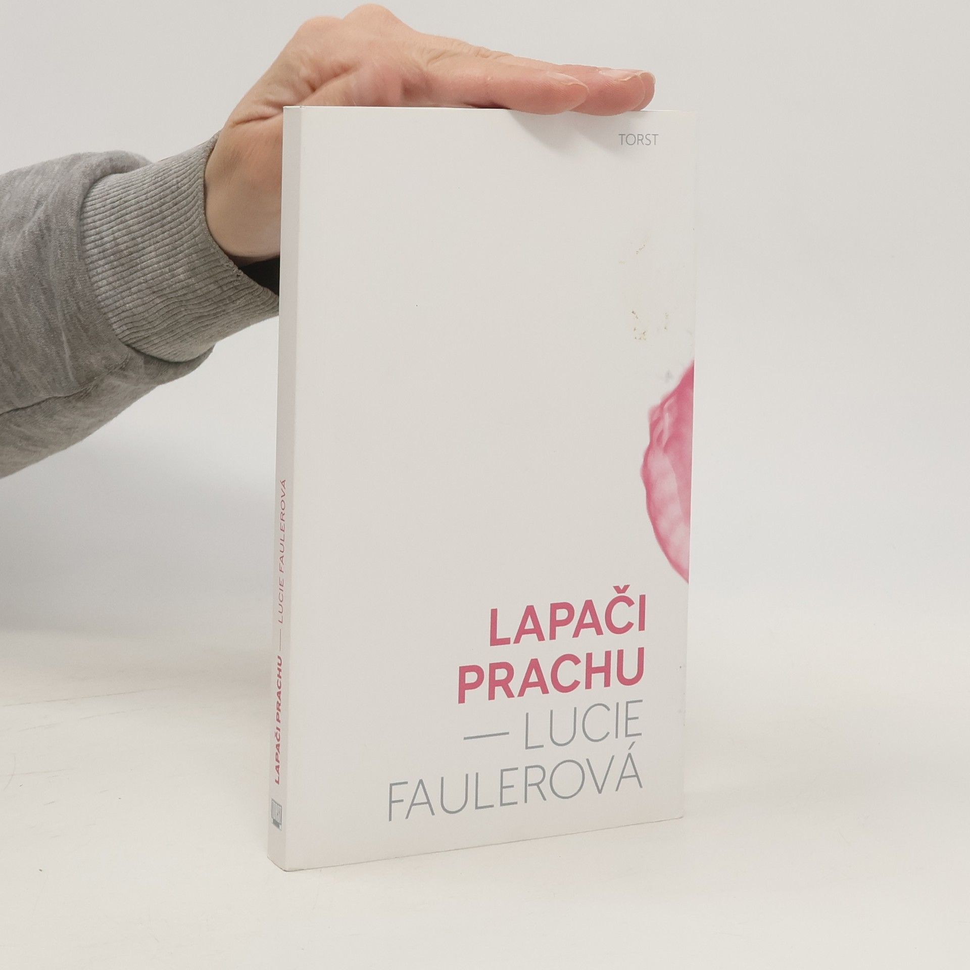 Lucie Faulerová Lapači prachu