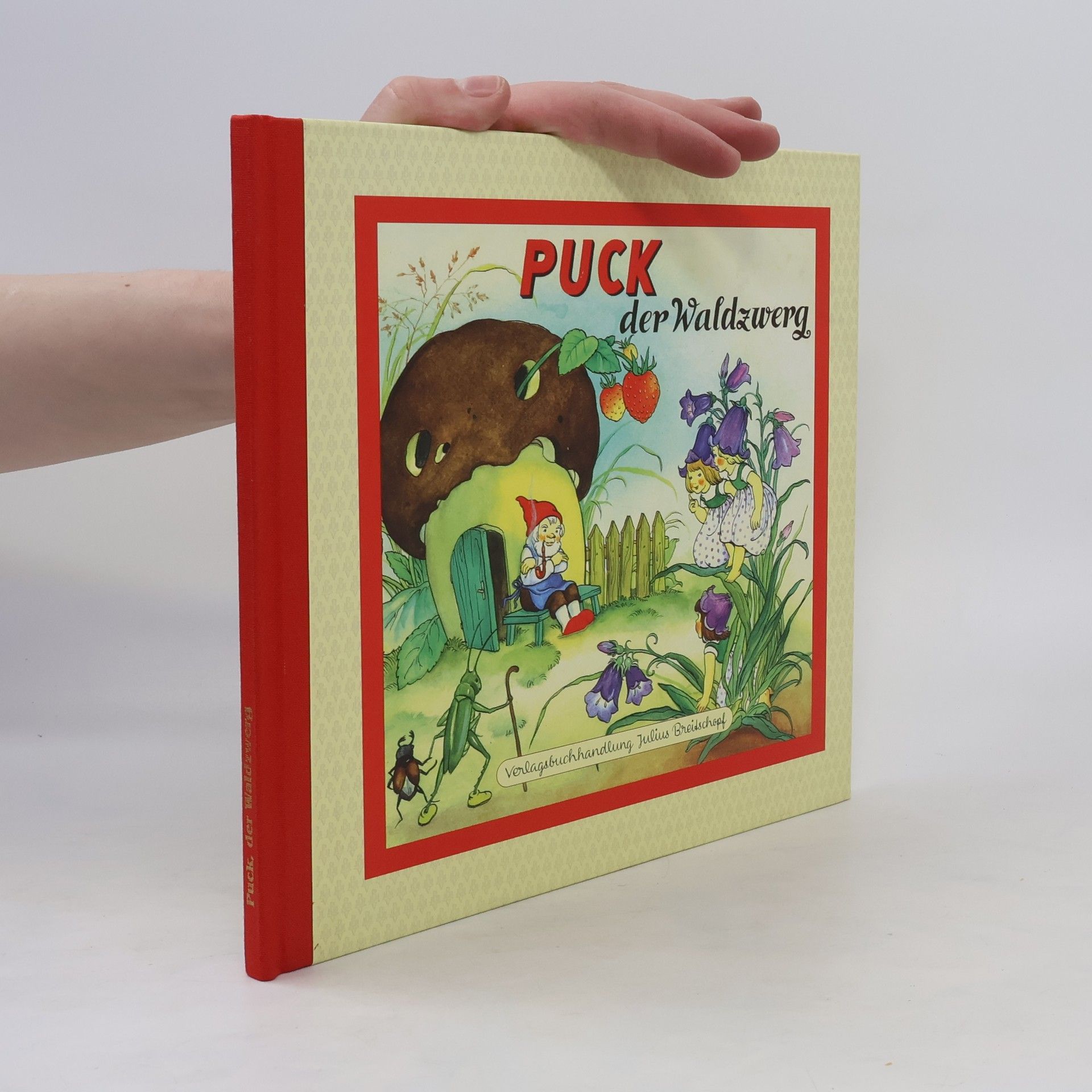 kolektiv Puck der Waldzwerg