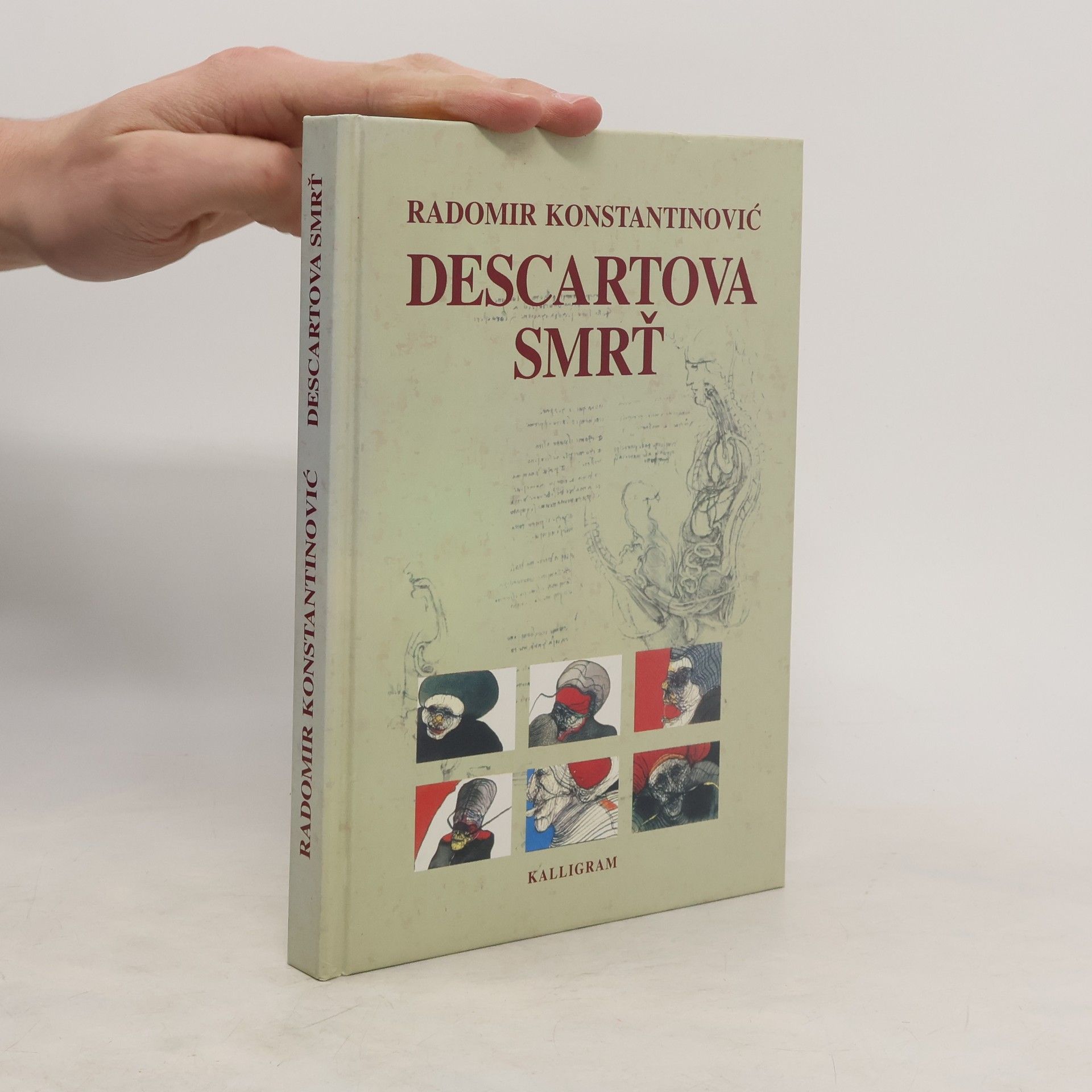 Radomir Konstantinović Descartova smrť