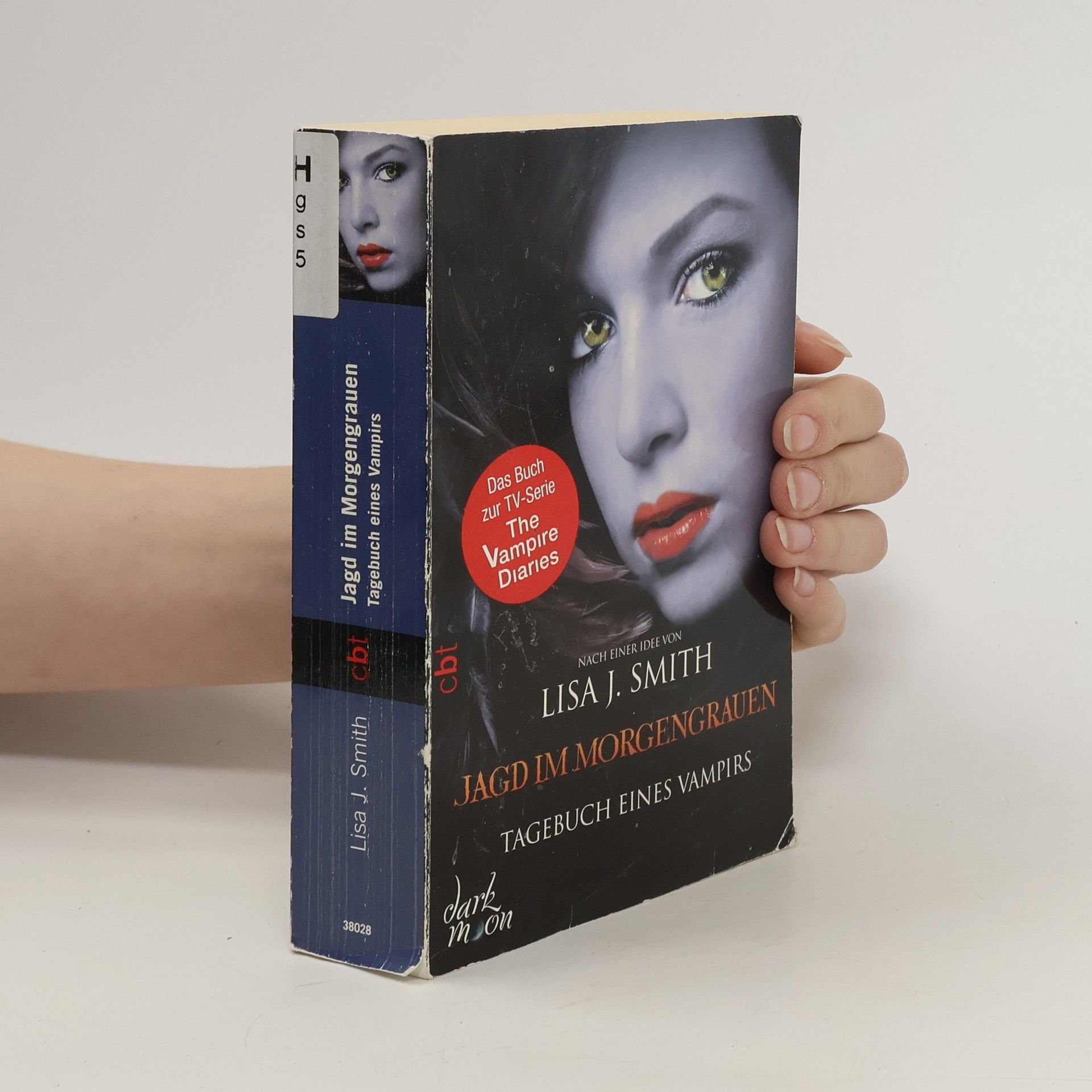 L. J. Smithová Jagd im Morgengrauen. Tagebuch eines Vampirs