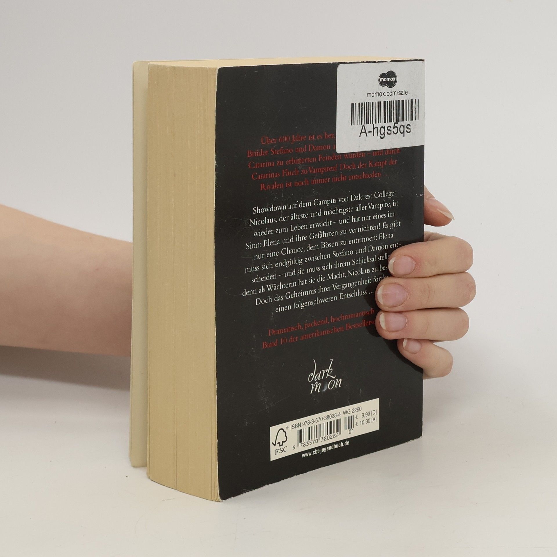 L. J. Smithová Jagd im Morgengrauen. Tagebuch eines Vampirs