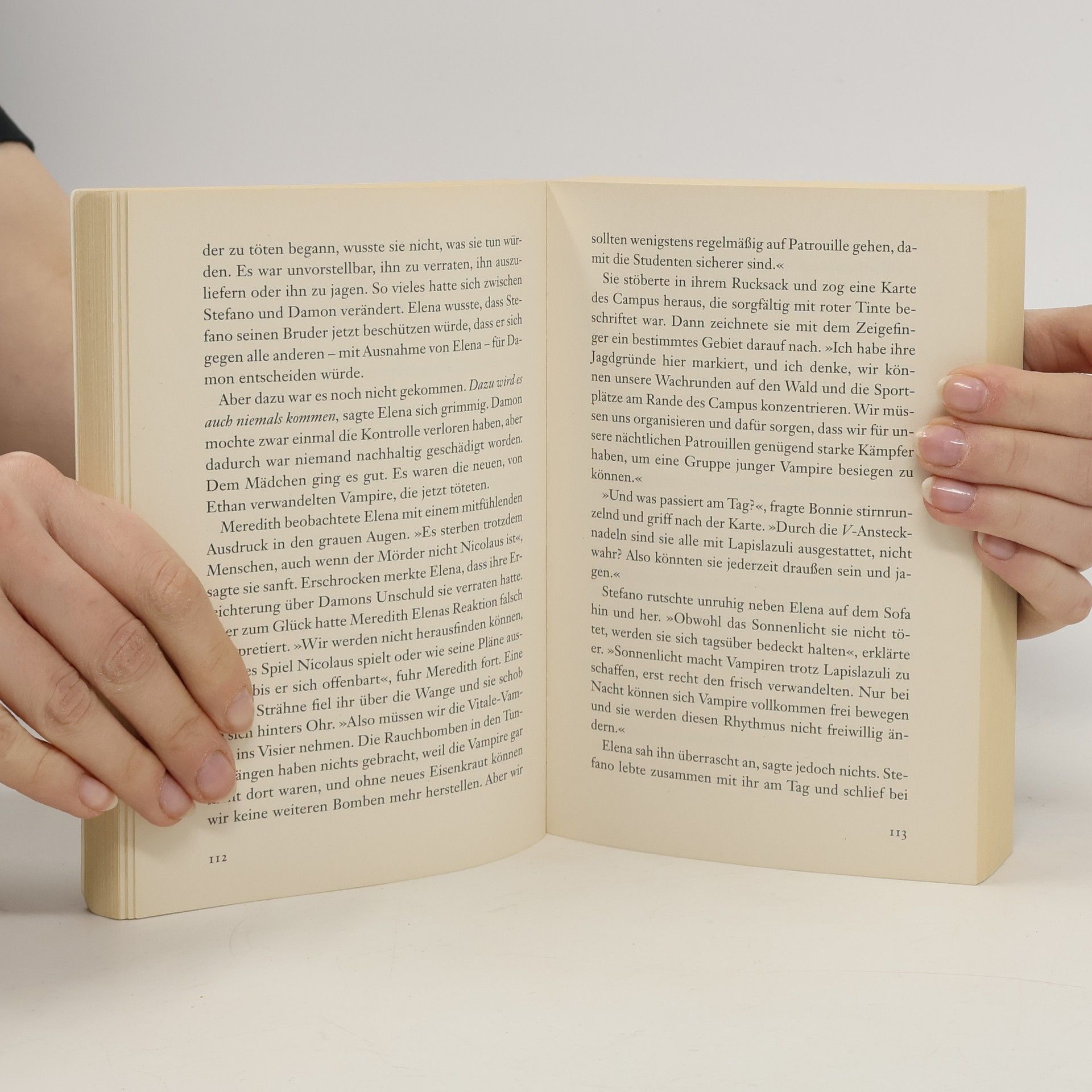 L. J. Smithová Jagd im Morgengrauen. Tagebuch eines Vampirs