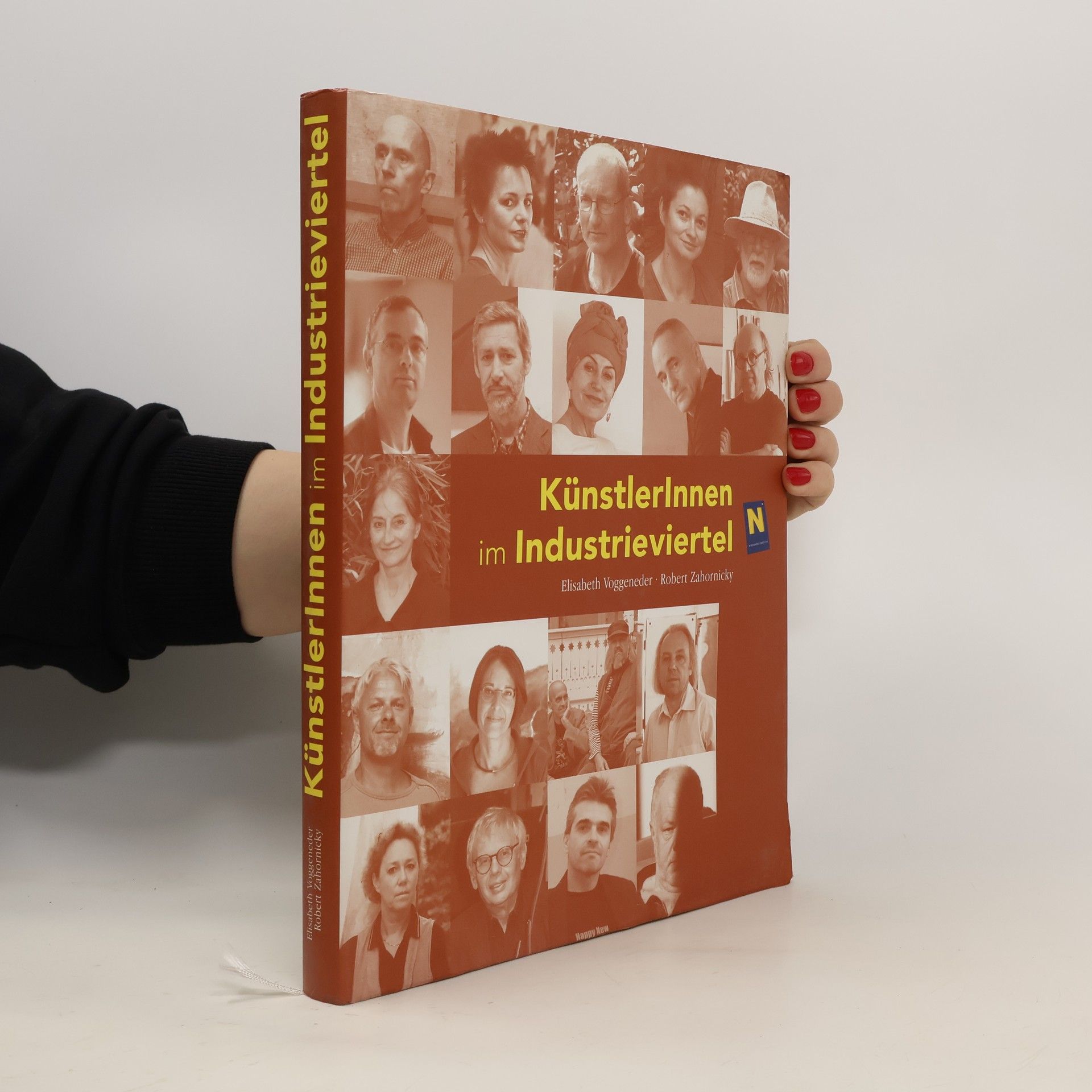 Elisabeth Voggeneder KünstlerInnen im Industrieviertel