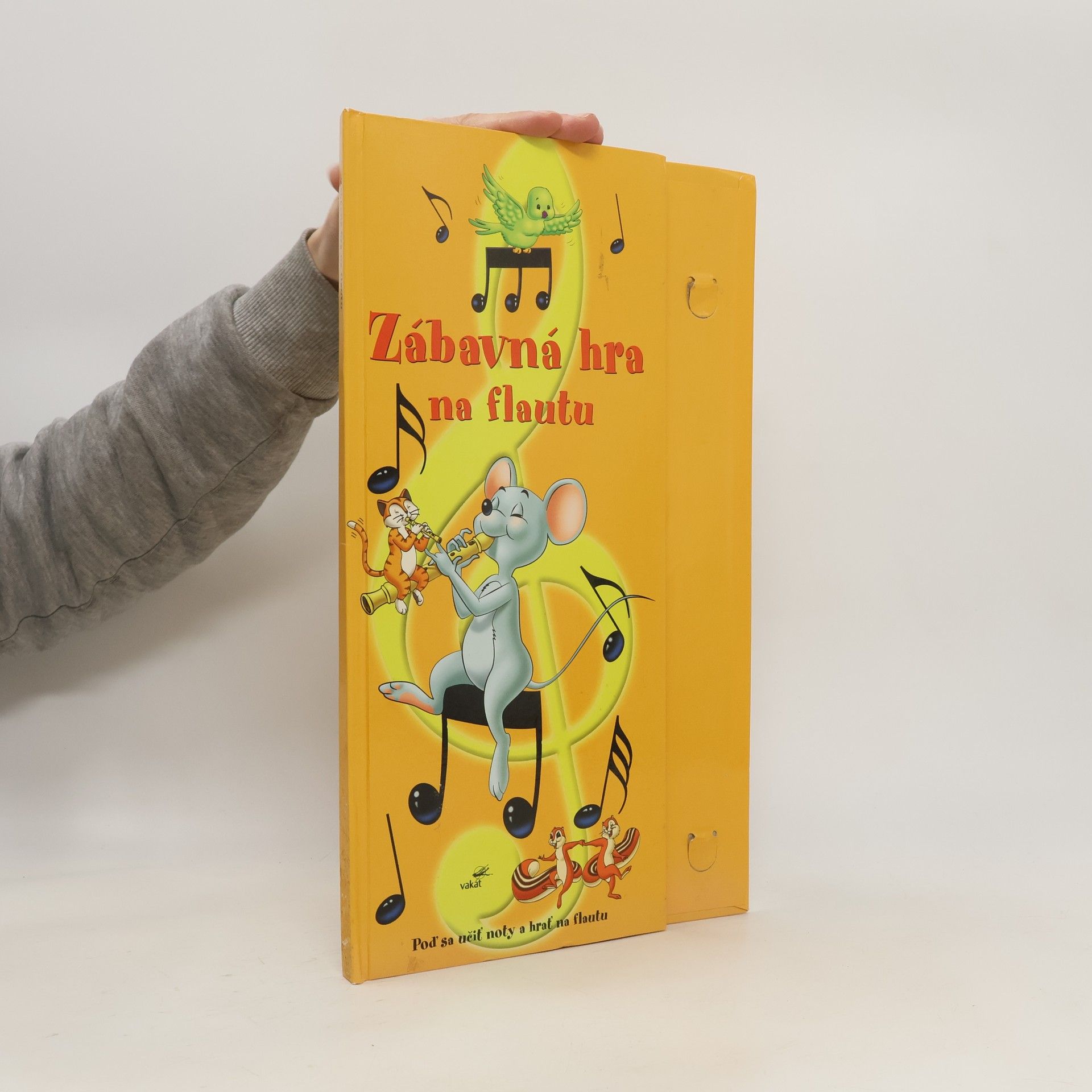 Collective Zábavná hra na flautu