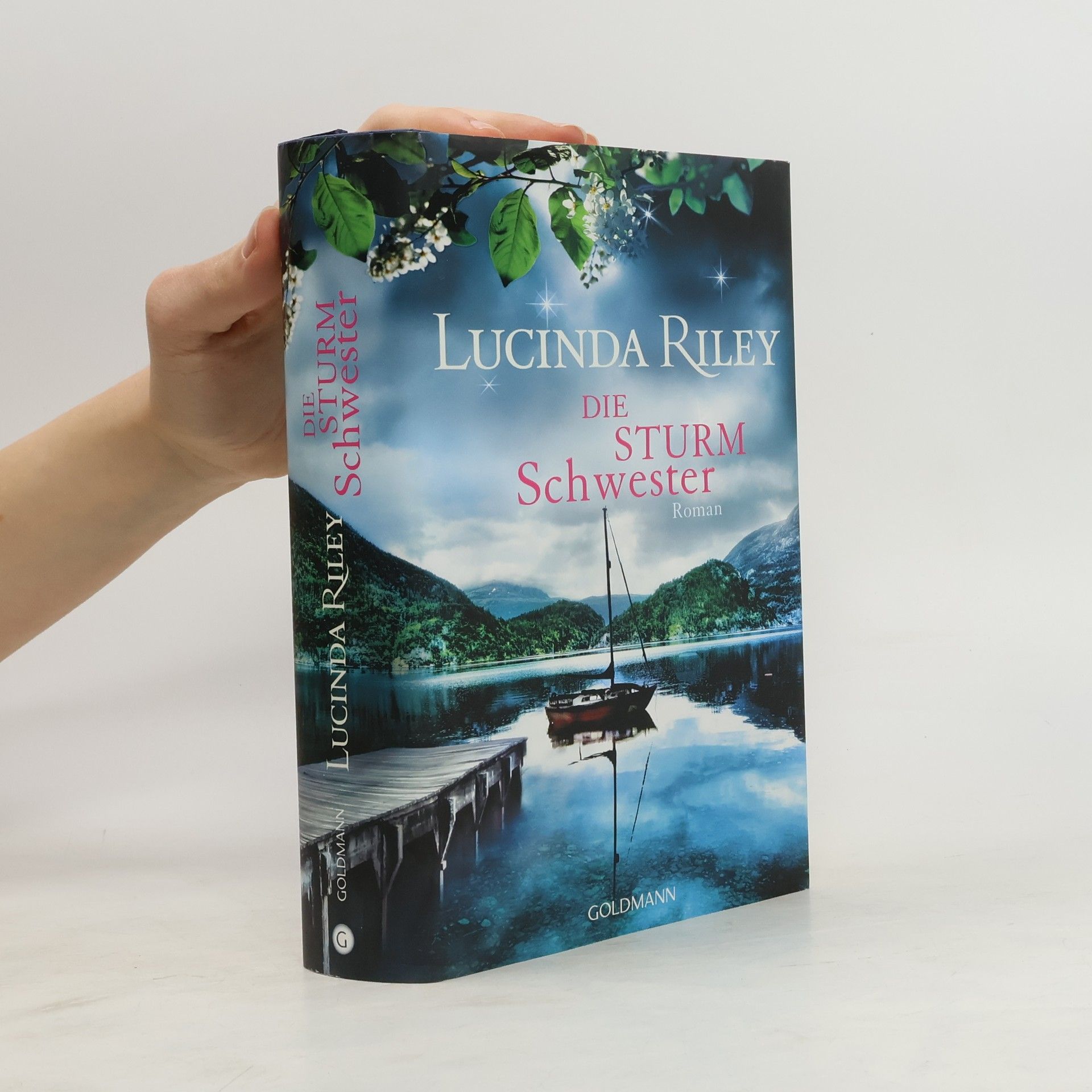Lucinda Riley Die Sturmschwester