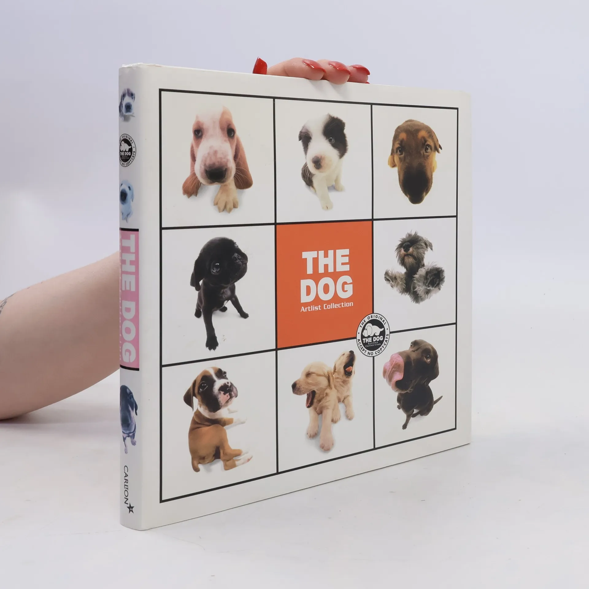 The Dog | Book | Hardcover | kolektiv | EN