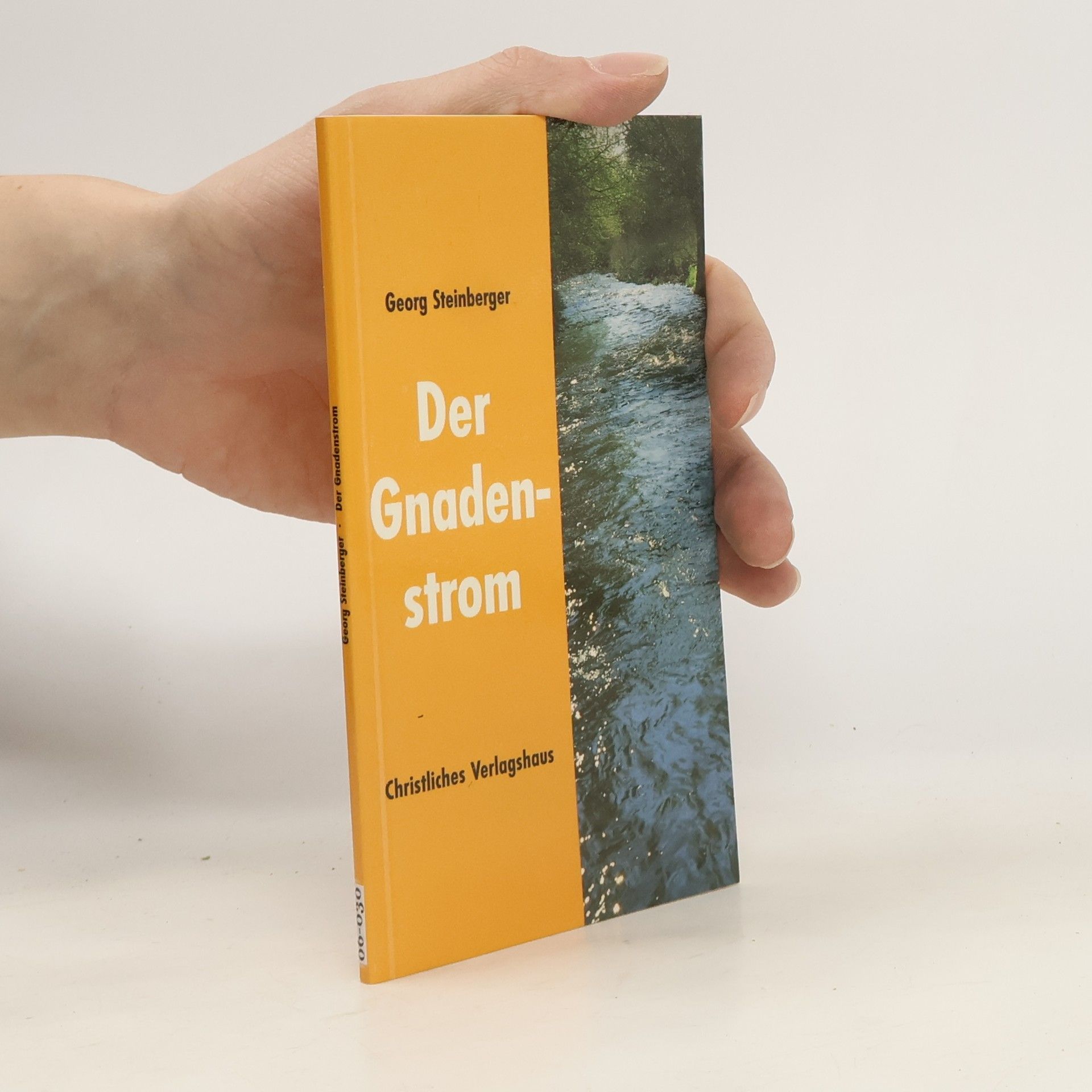 Georg Steinberger Der Gnadenstrom
