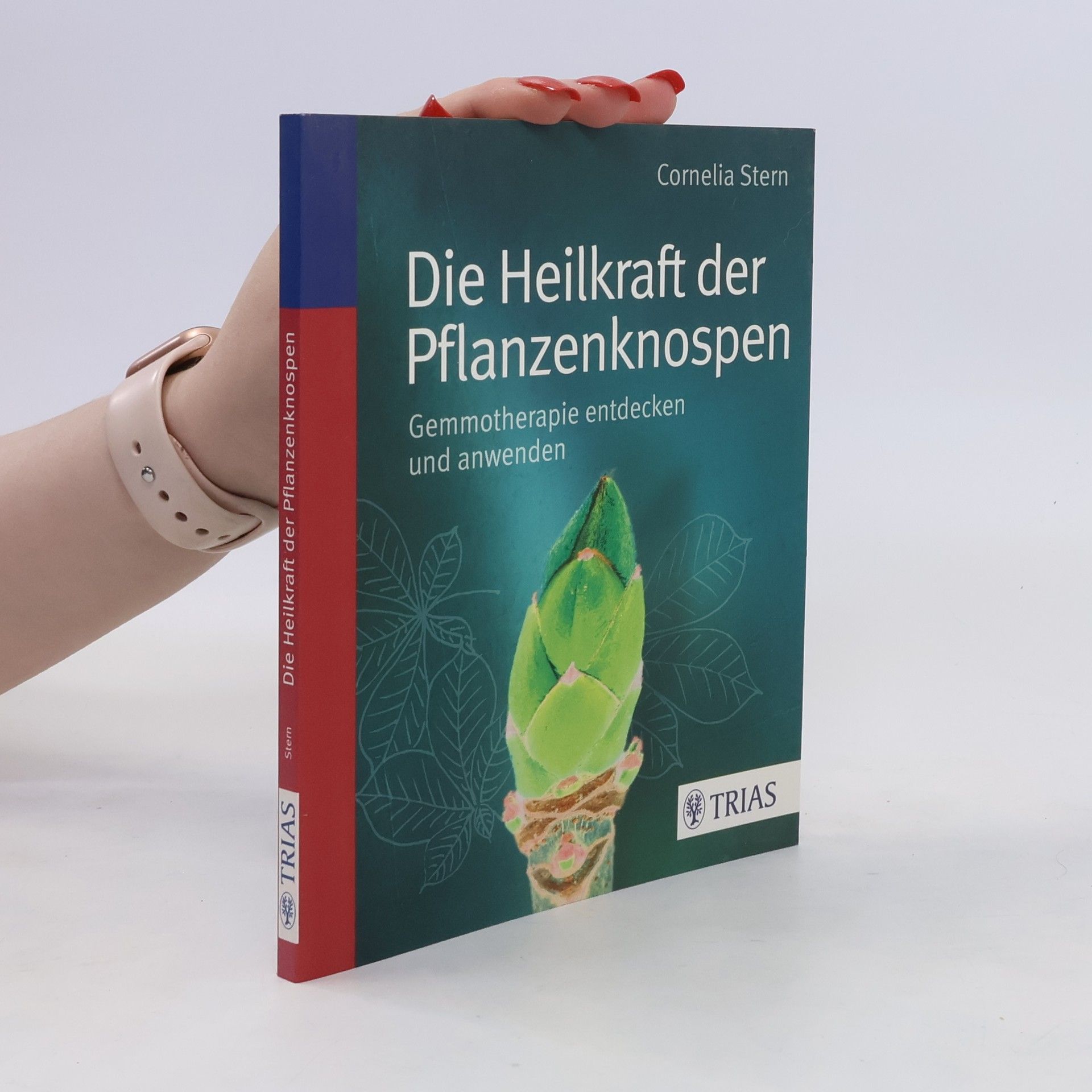 Cornelia Stern Die Heilkraft der Pflanzenknospen