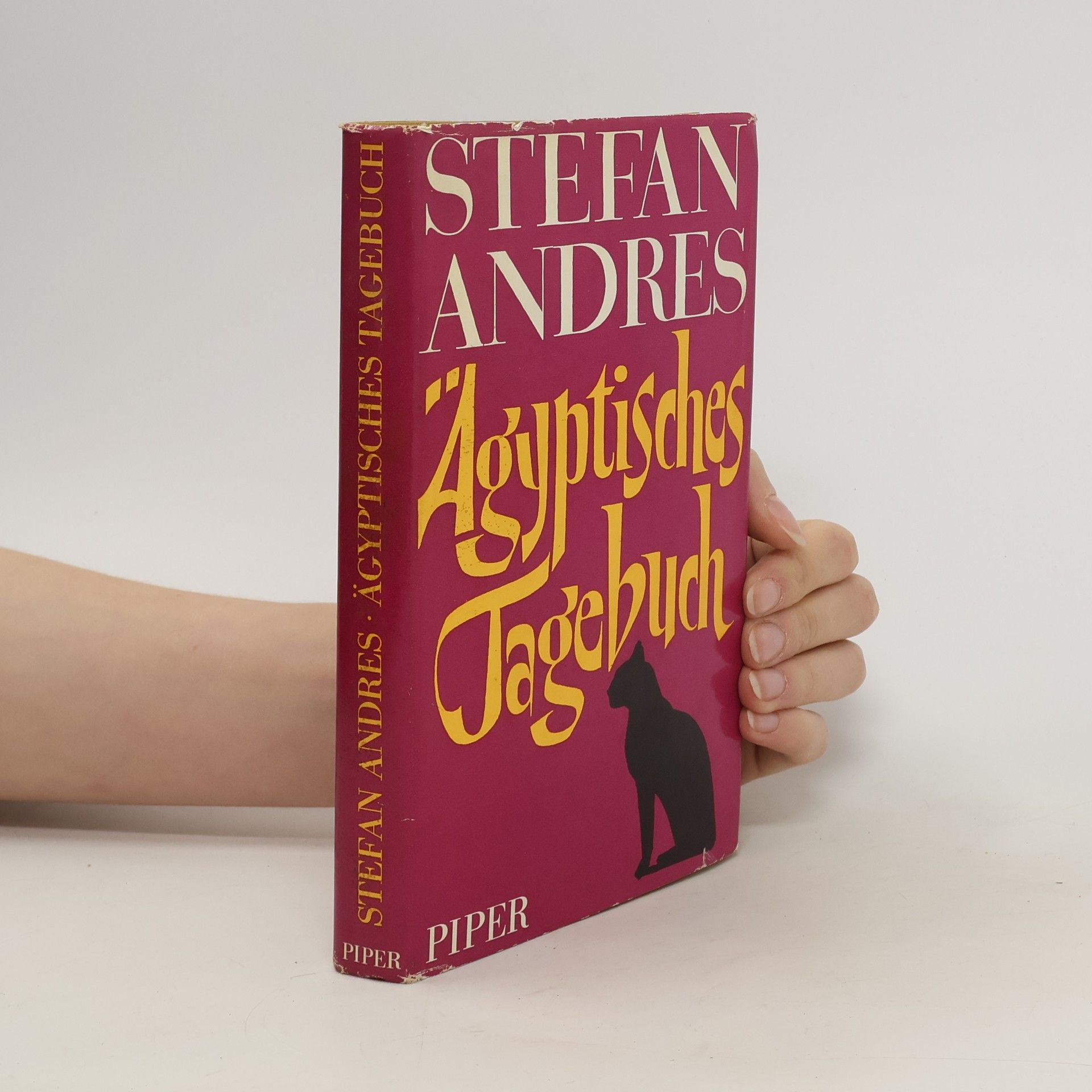 Stefan Andres Ägyptisches Tagebuch