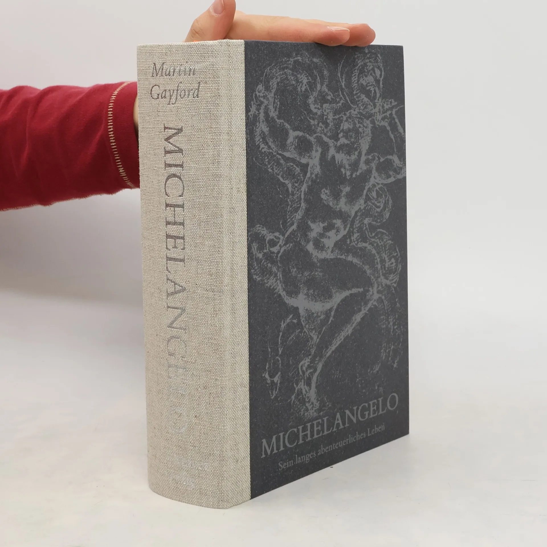 Michelangelo | Book | Martin Gayford | DE