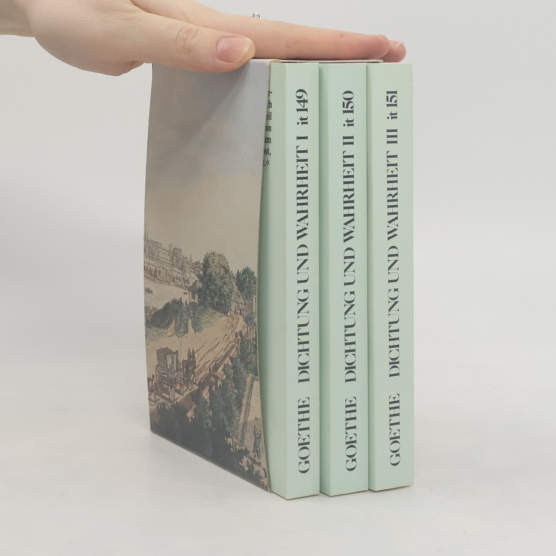 Johann Wolfgang von Goethe Dichtung und Wahrheit I.-III. Insel Taschenbuch 149-151