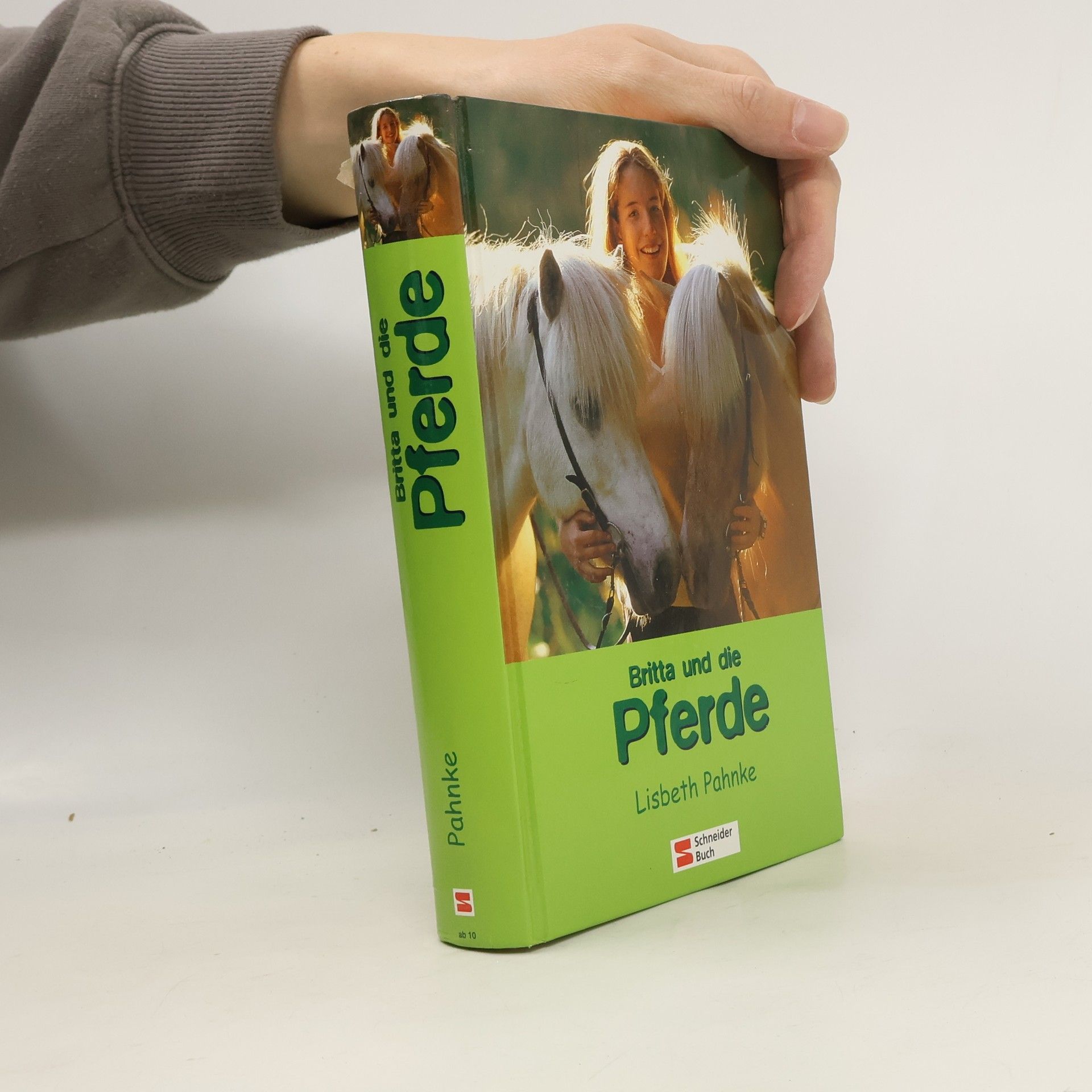 Lisbeth Pahnke Britta und die Pferde
