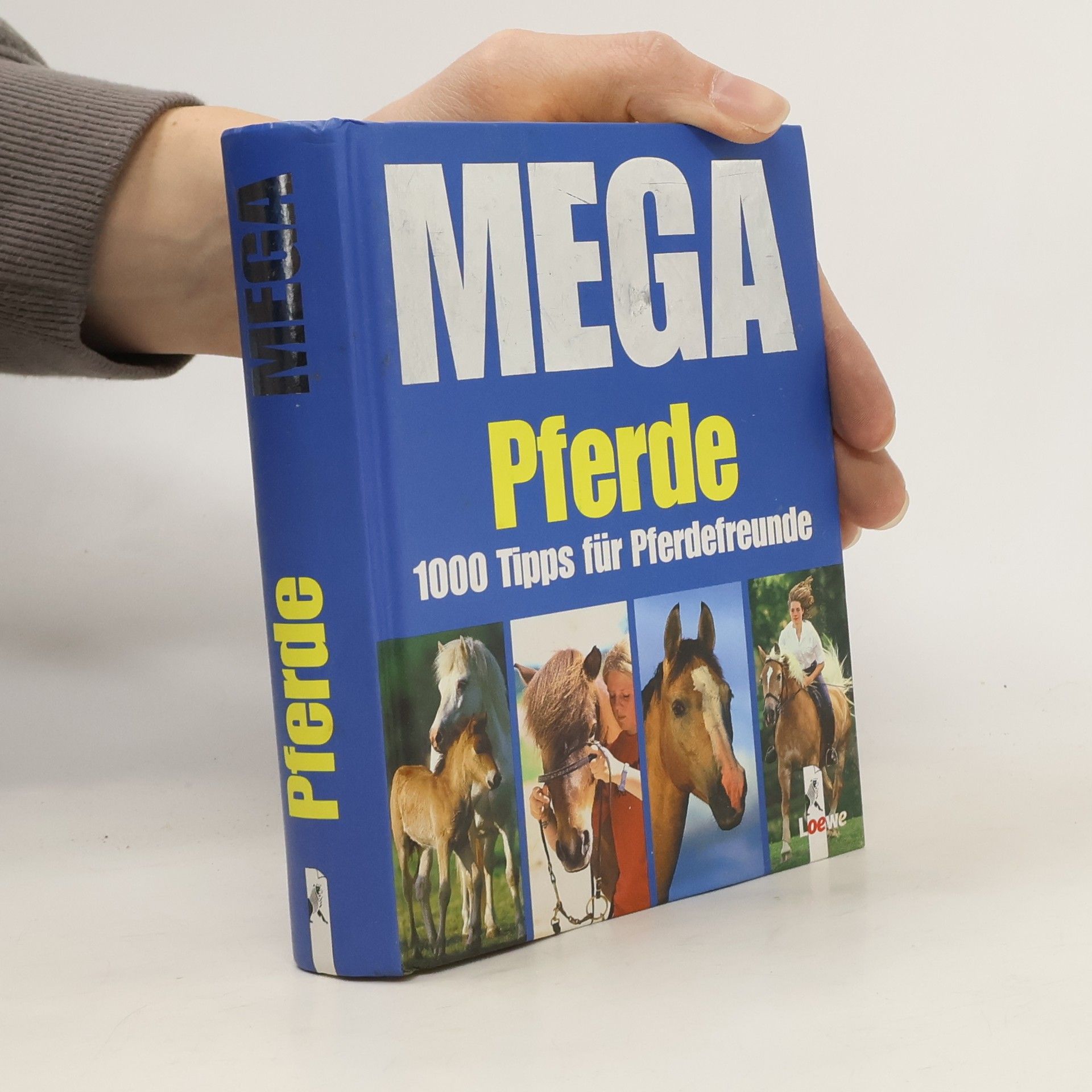 Edgar Wüpper Pferde