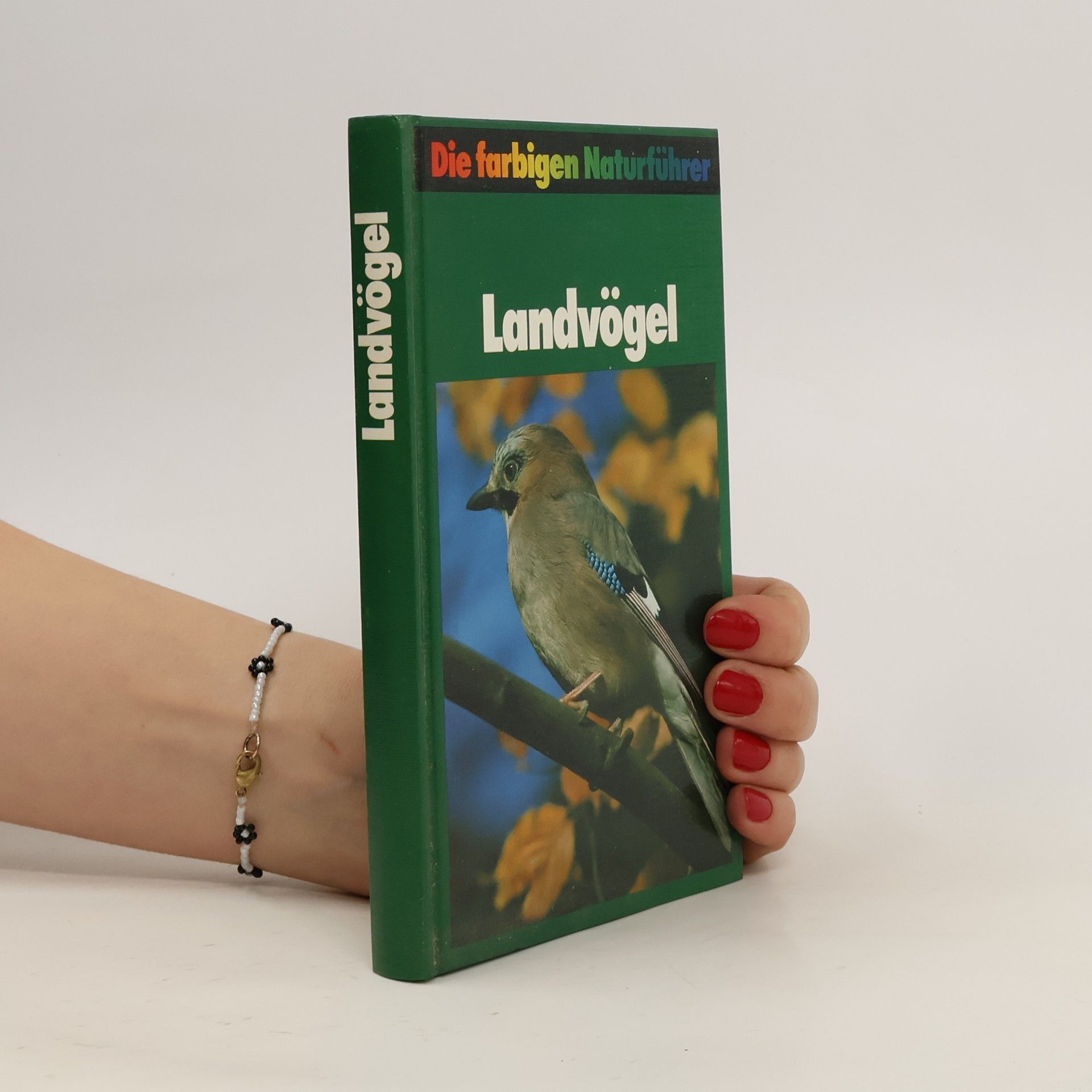 Autorenkollektiv Landvögel