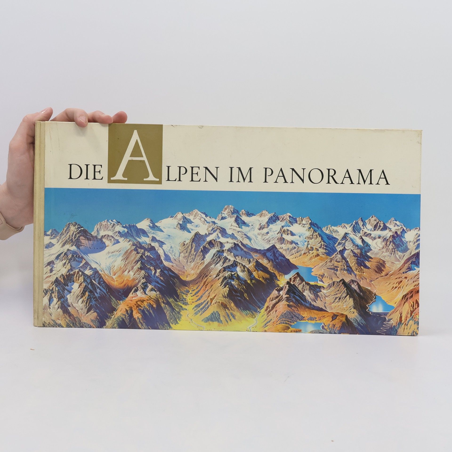 Kolektív autorov Die Alpen im Panorama