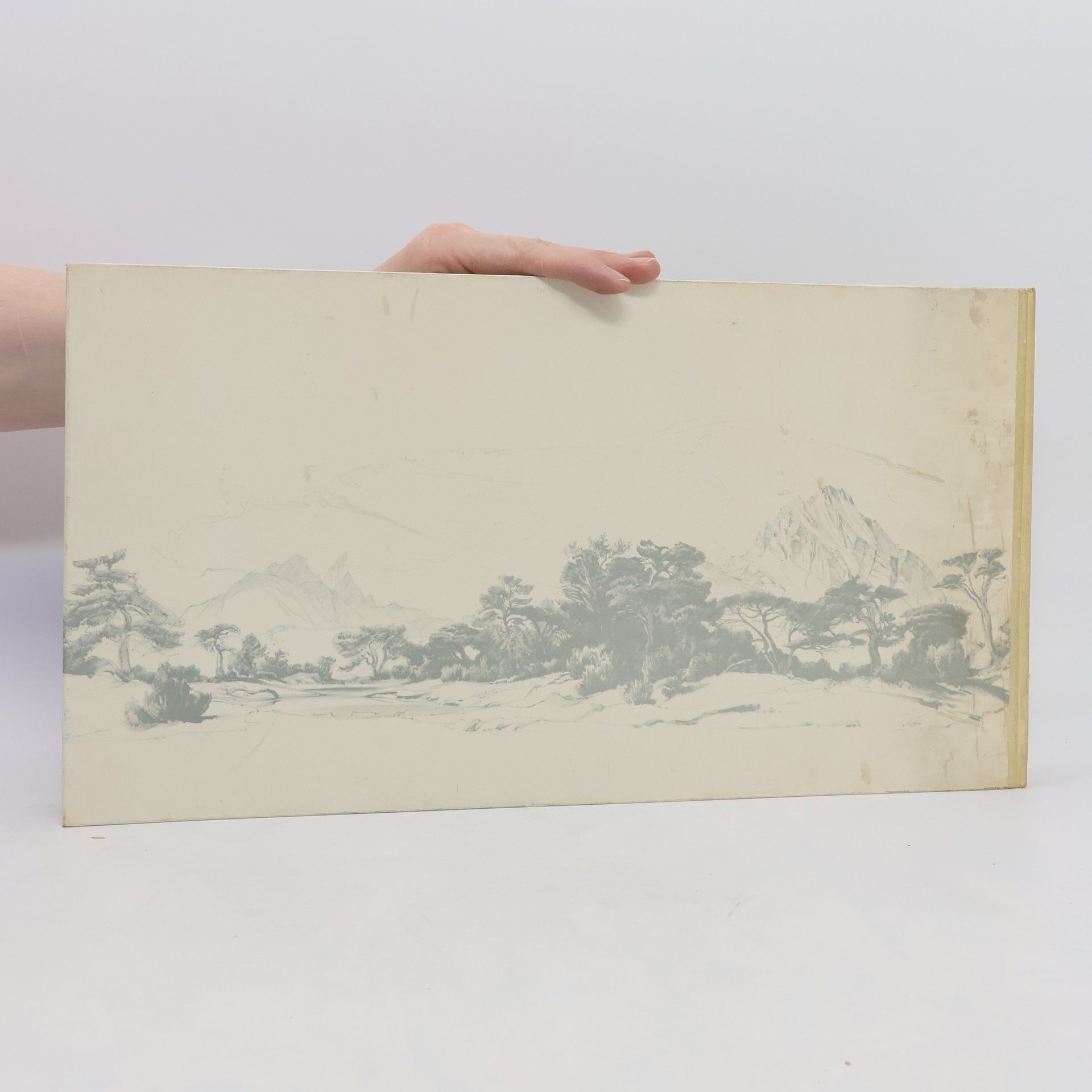 Kolektív autorov Die Alpen im Panorama