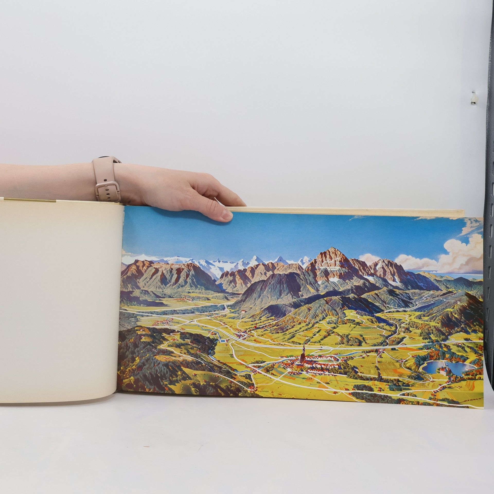 Kolektív autorov Die Alpen im Panorama