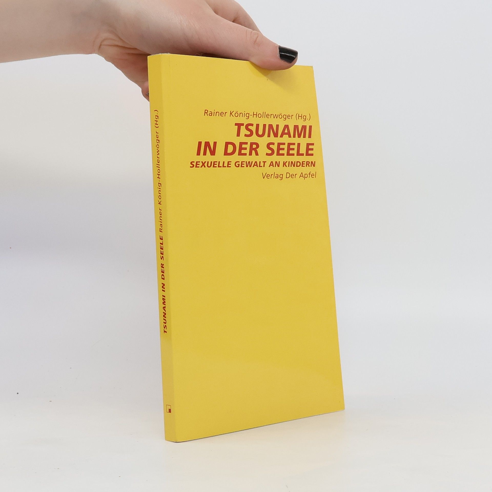 Rainer König-Hollerwöger Tsunami in der Seele