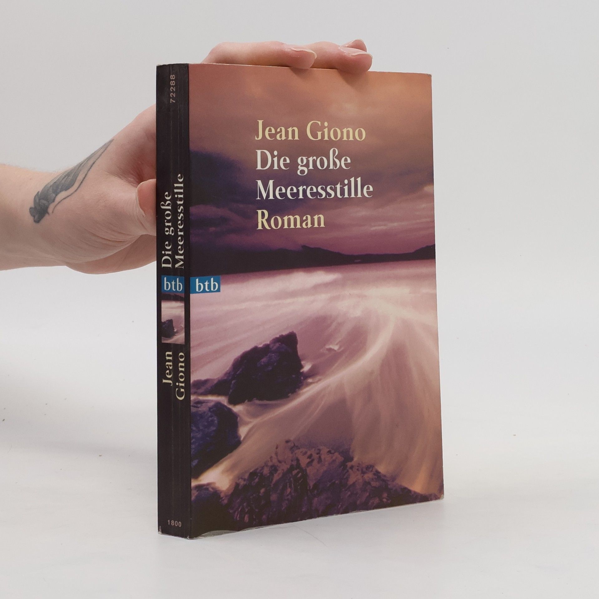 Jean Giono Die große Meeresstille
