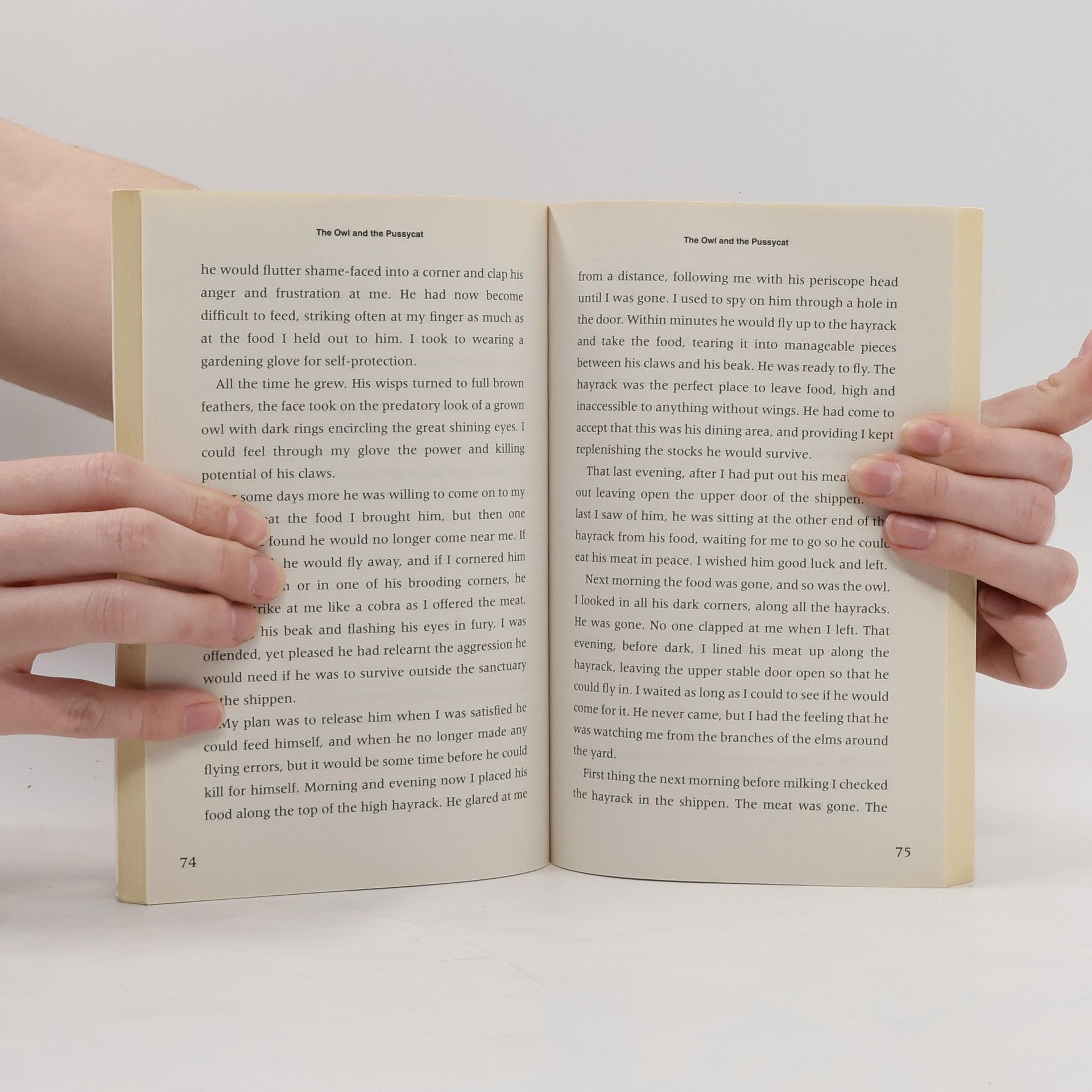 Various authors From Hereabout Hill