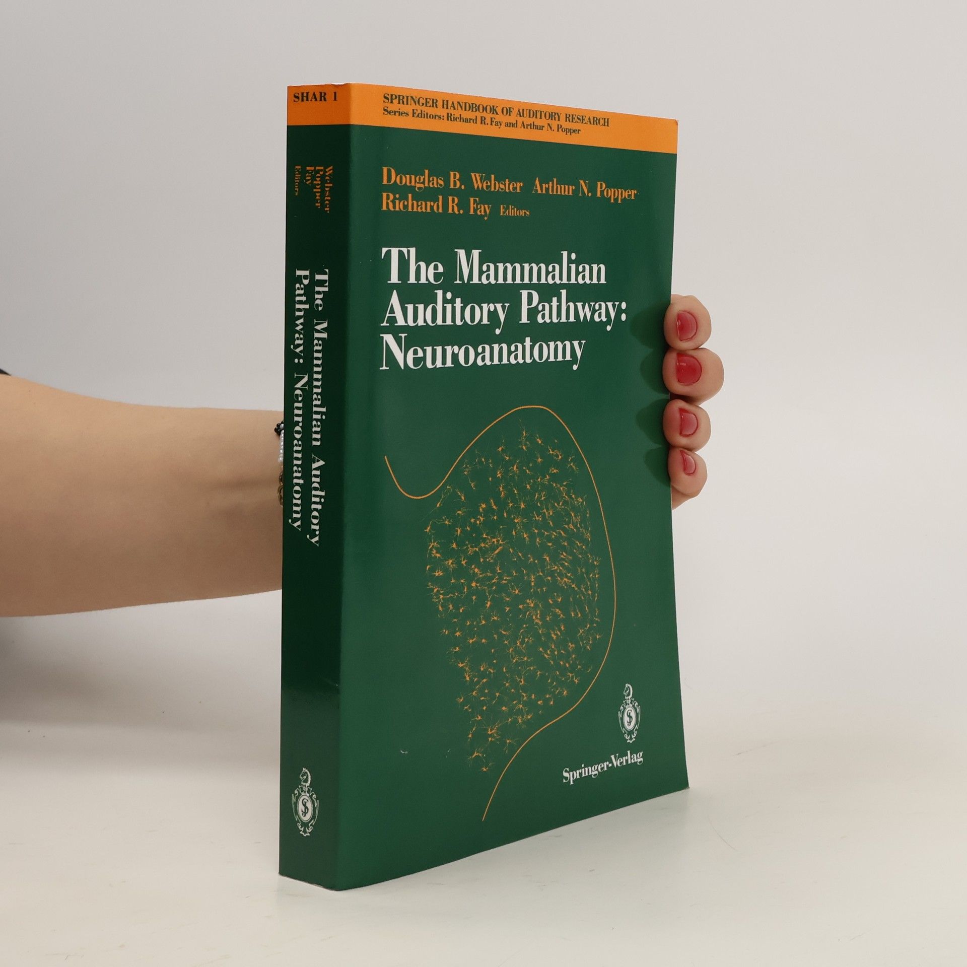 Douglas B. Webster The Mammalian Auditory Pathway. Neuroanatomy