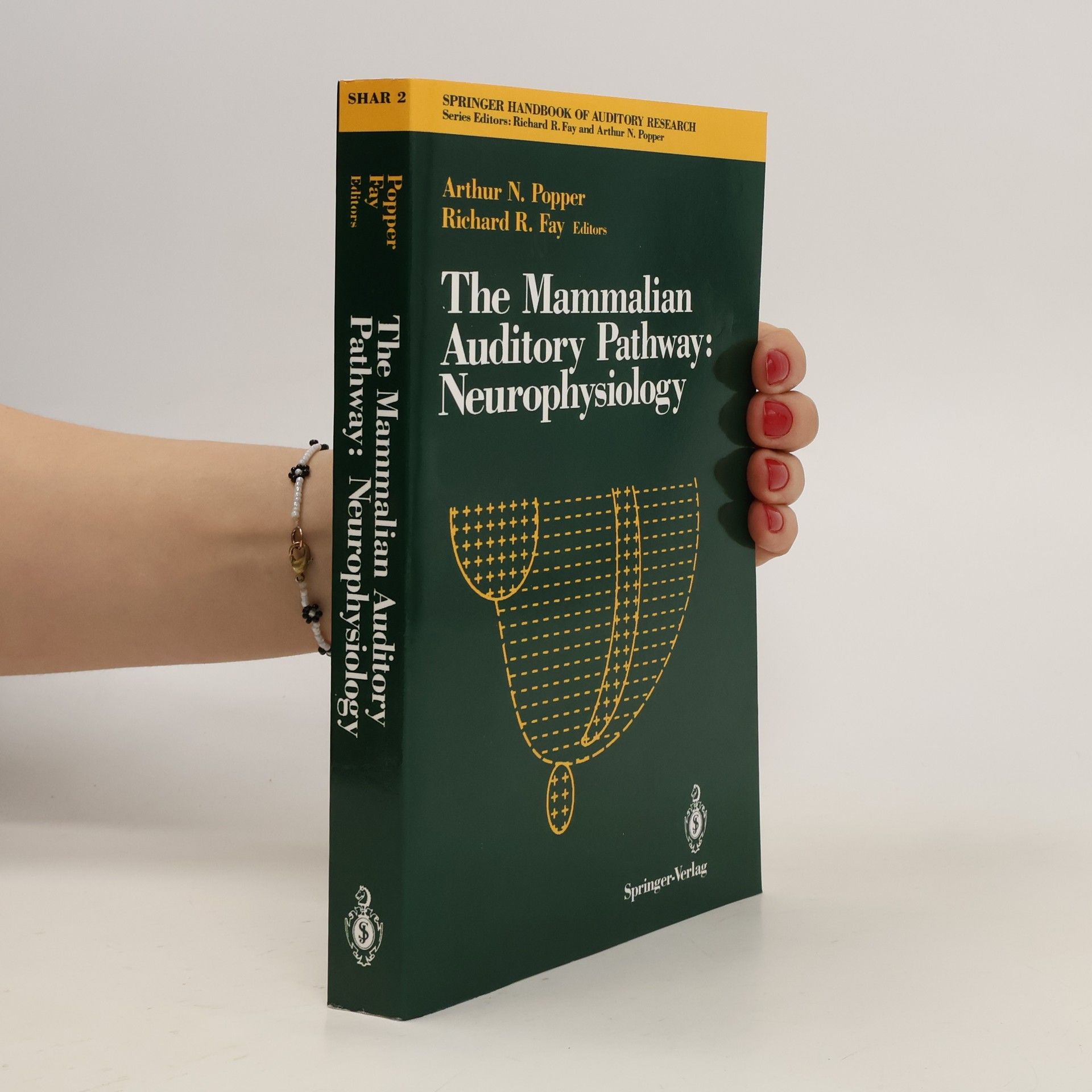 Arthur N. Popper The Mammalian Auditory Pathway: Neurophysiology