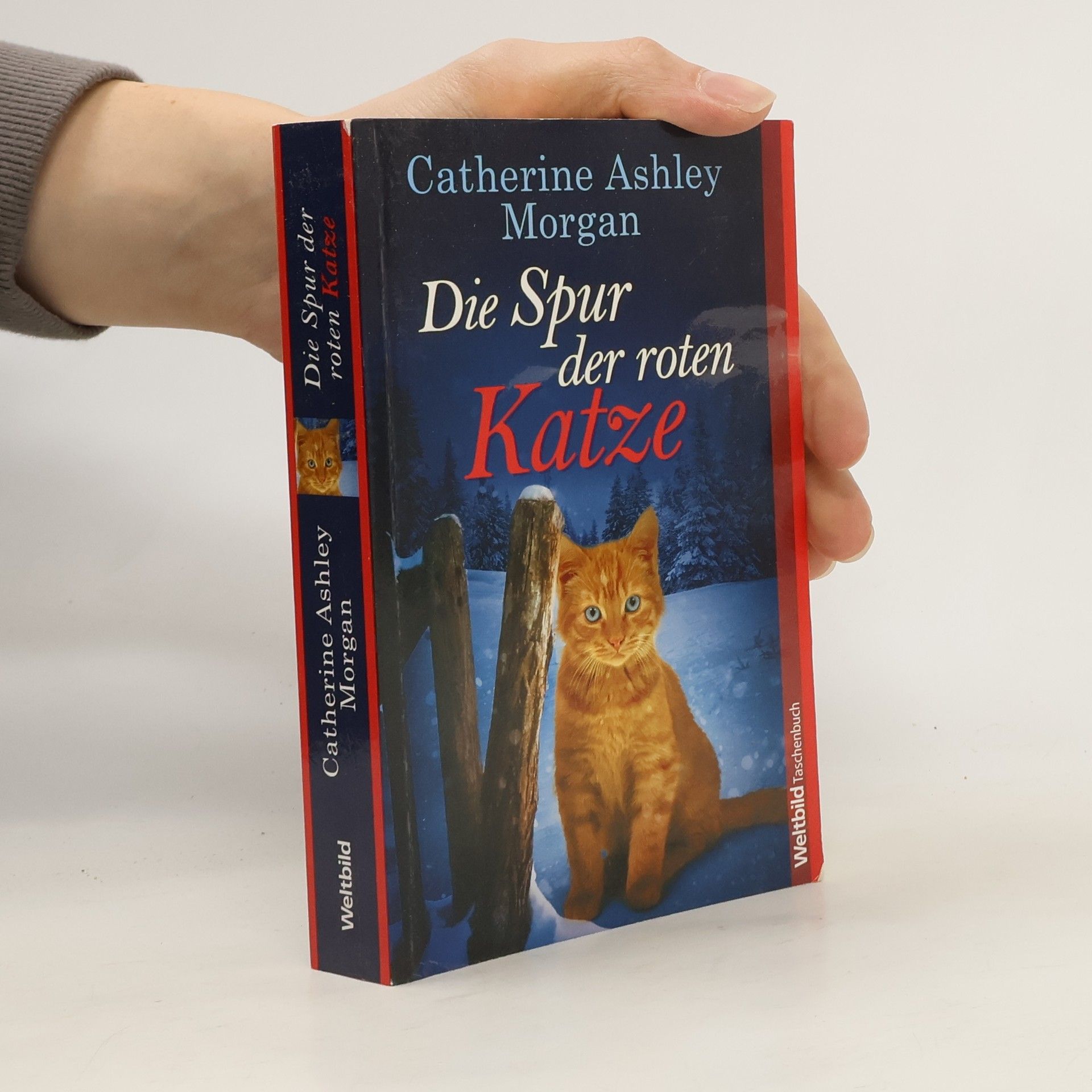 Catherine Ashley Morgan Die Spur der roten Katze