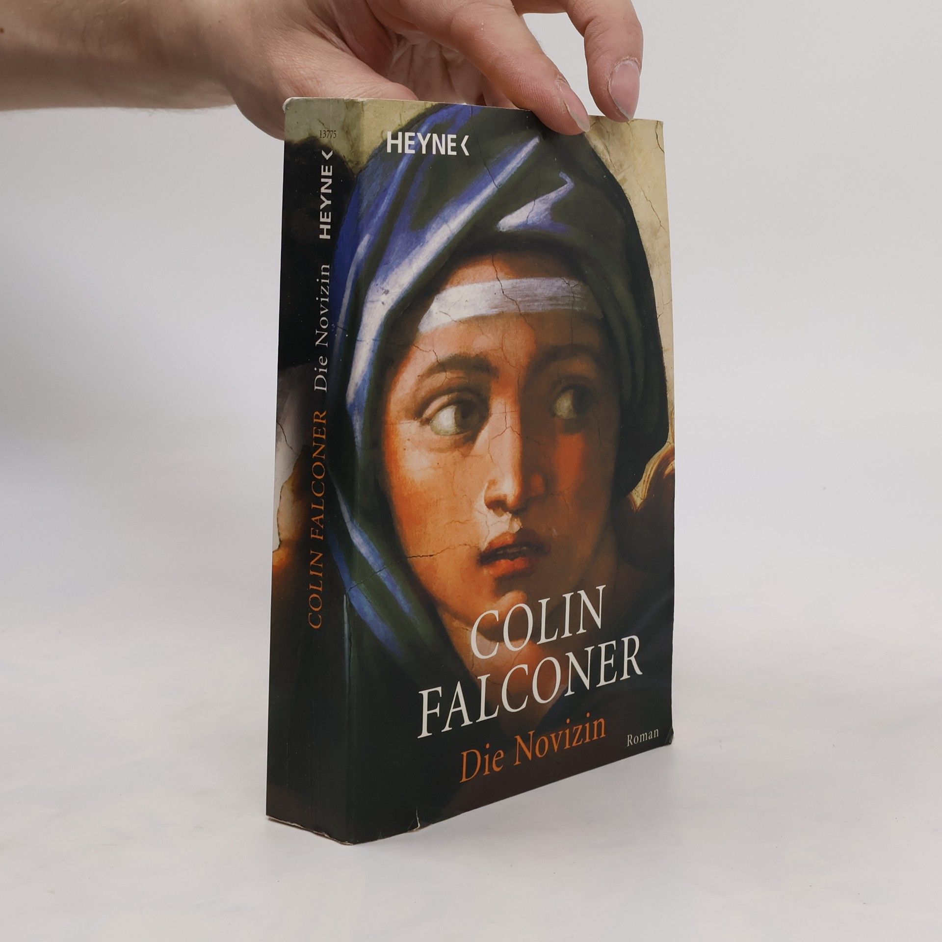 Colin Falconer Die Novizin