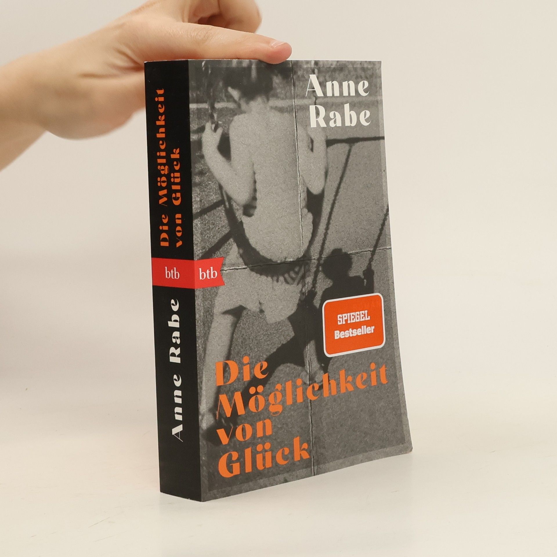 Anne Rabe Die Möglichkeit von Glück