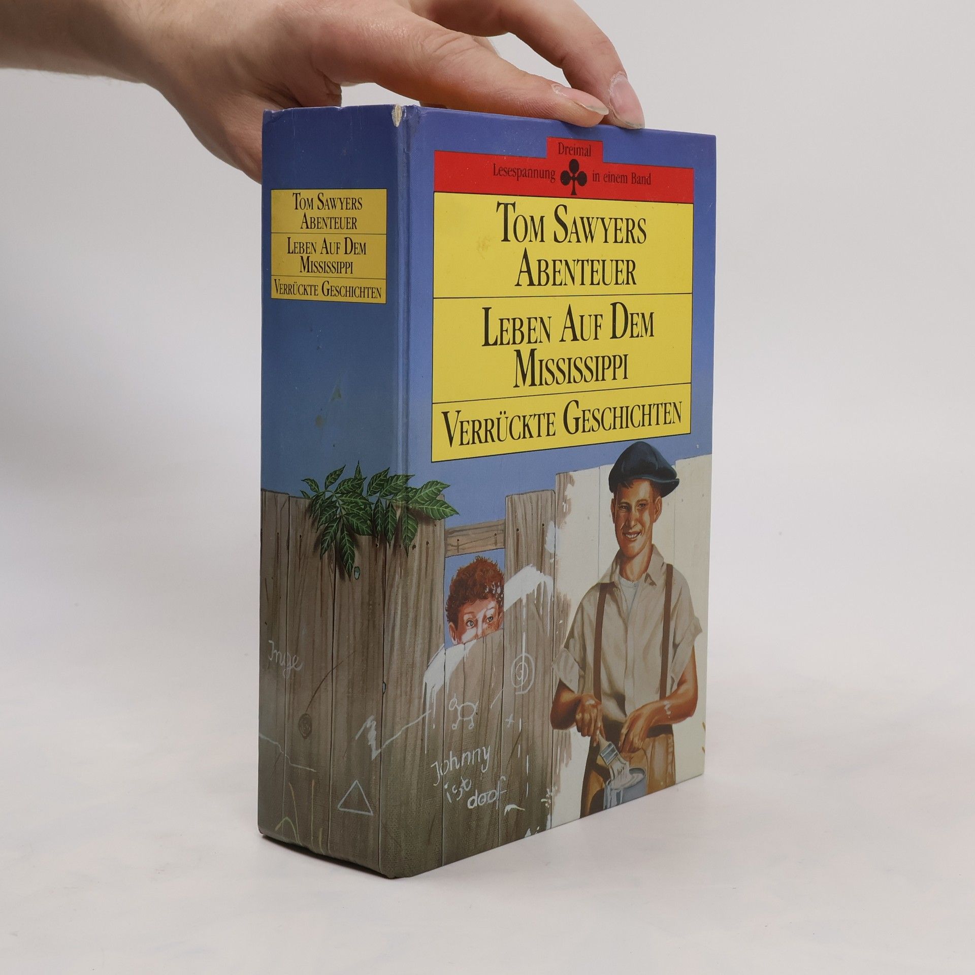Tom Sawyer Leben auf dem Mississippi