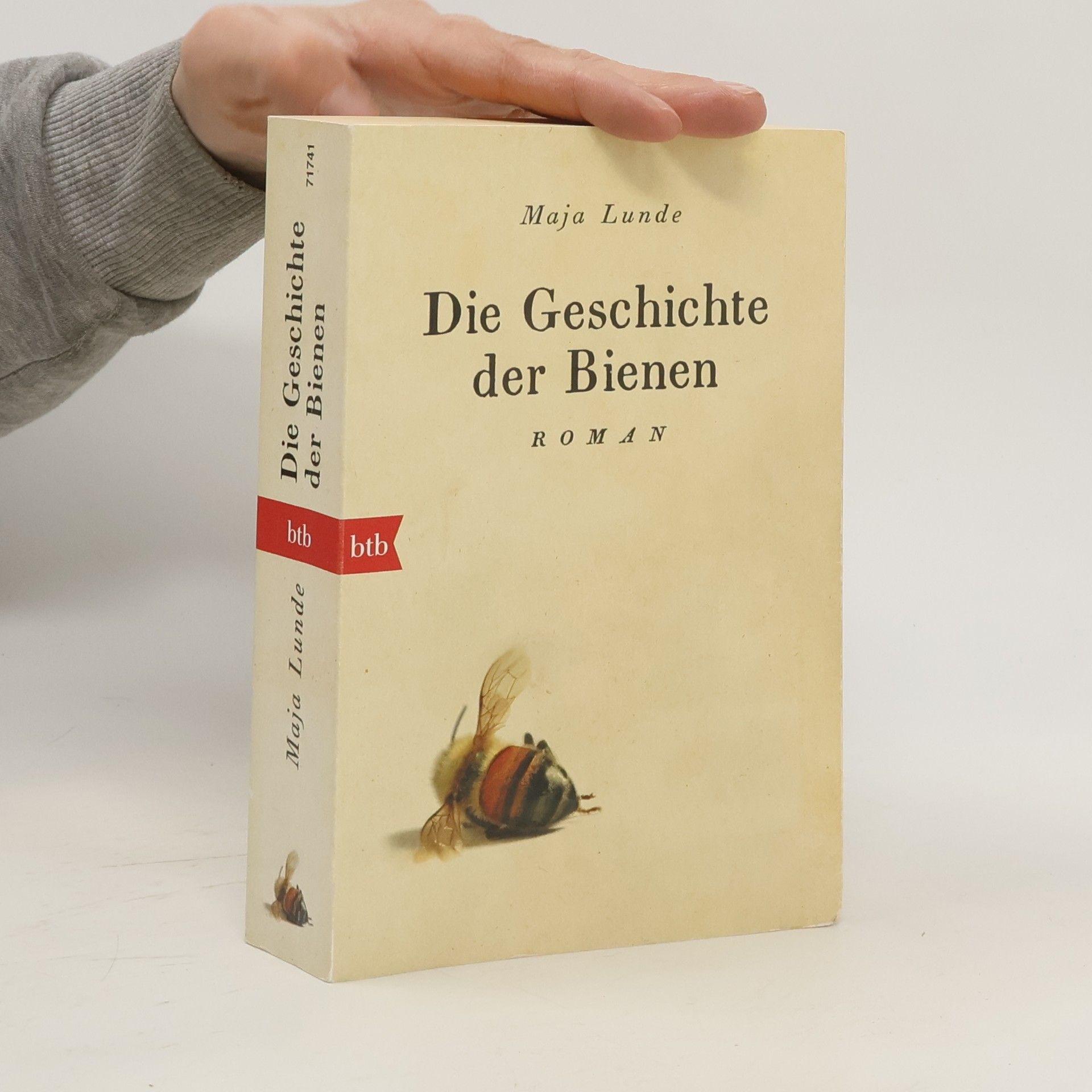 Maja Lunde Der Geschichte der Bienen
