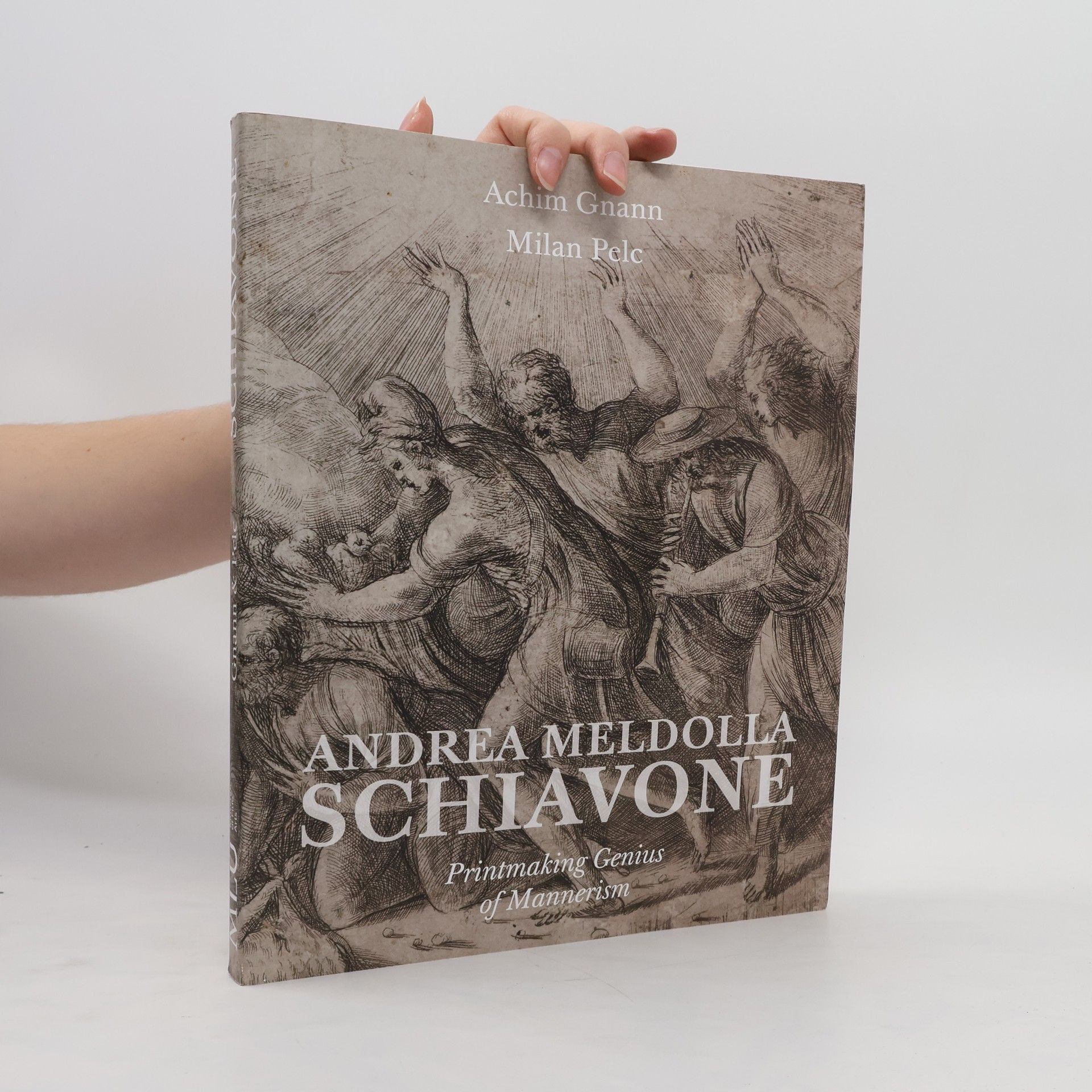 Achim Gnann Andrea Meldolla Schiavone