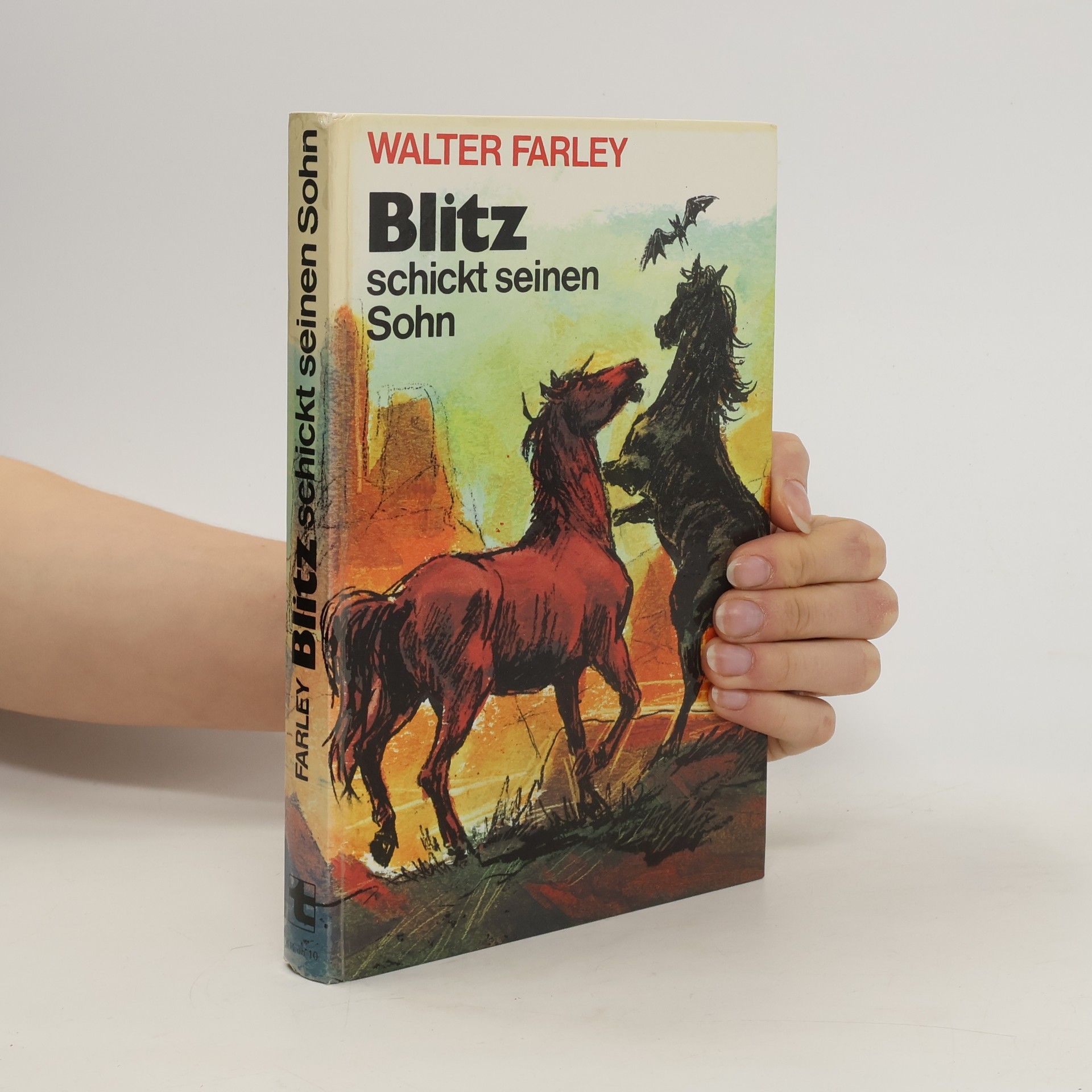 Walter Farley  Blitz schickt seinen Sohn