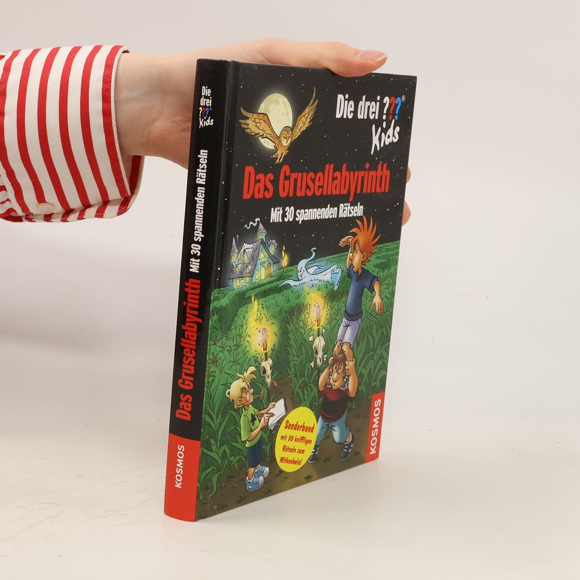 Ulf Blanck Das Grusellabyrinth