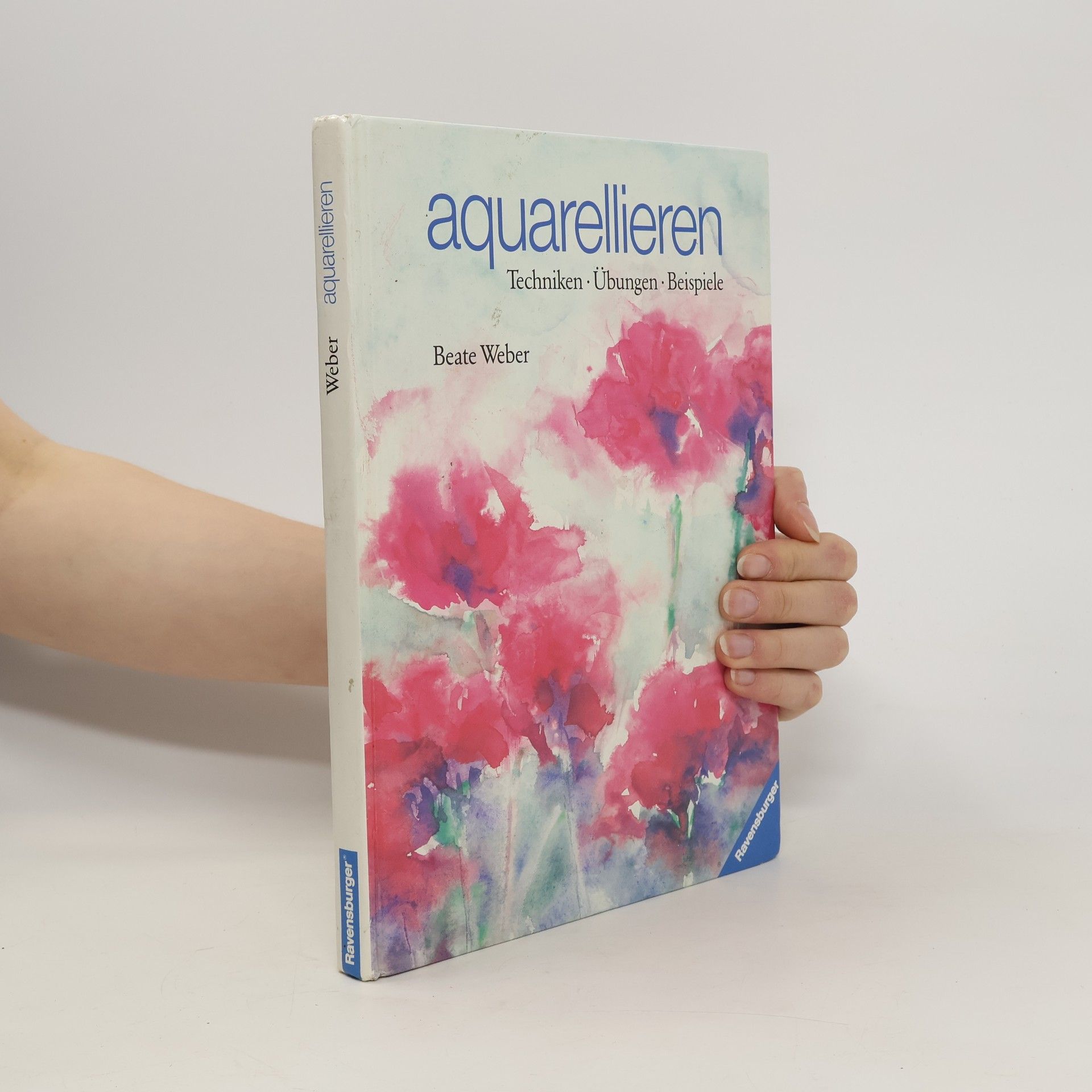 Beate Weber Aquarellieren