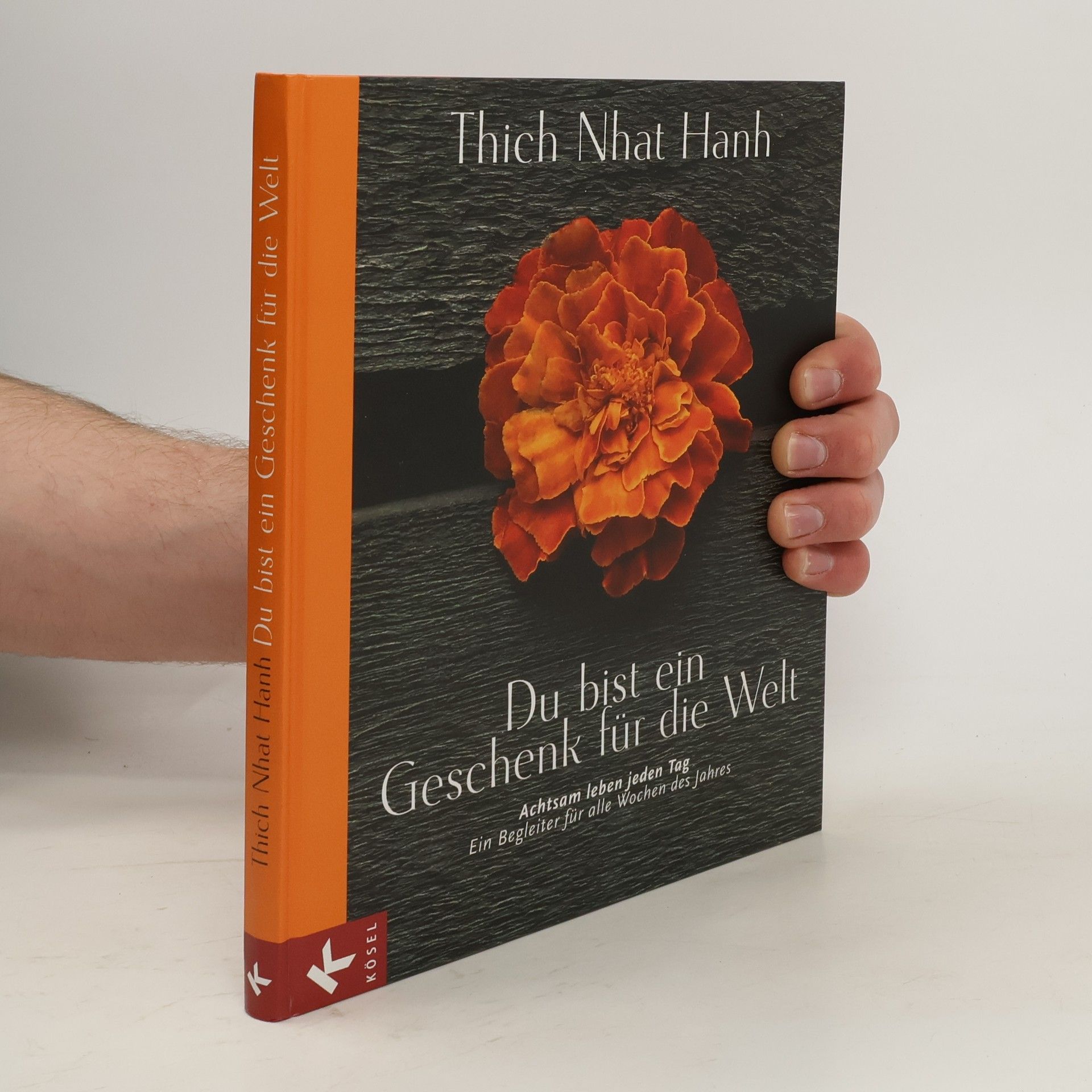 Thích Nhất Hạnh Entdecke den Schatz in deinem Herzen
