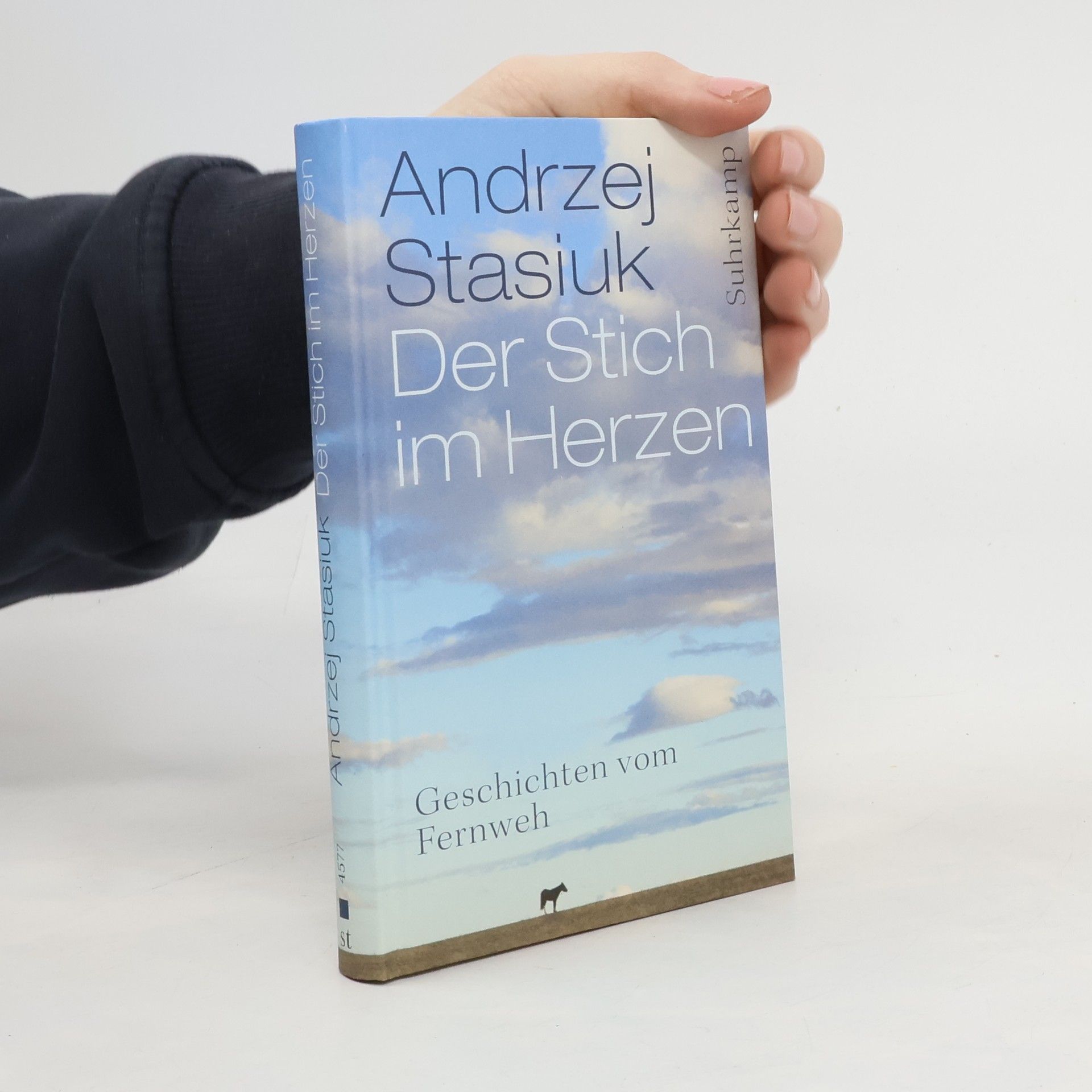 Andrzej Stasiuk Der Stich im Herzen