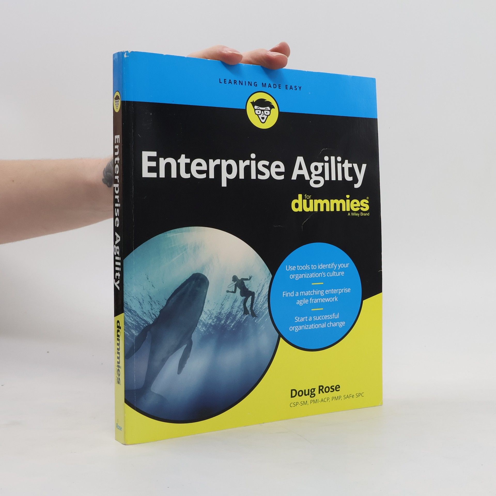 Doug Rose Enterprise Agility For Dummies