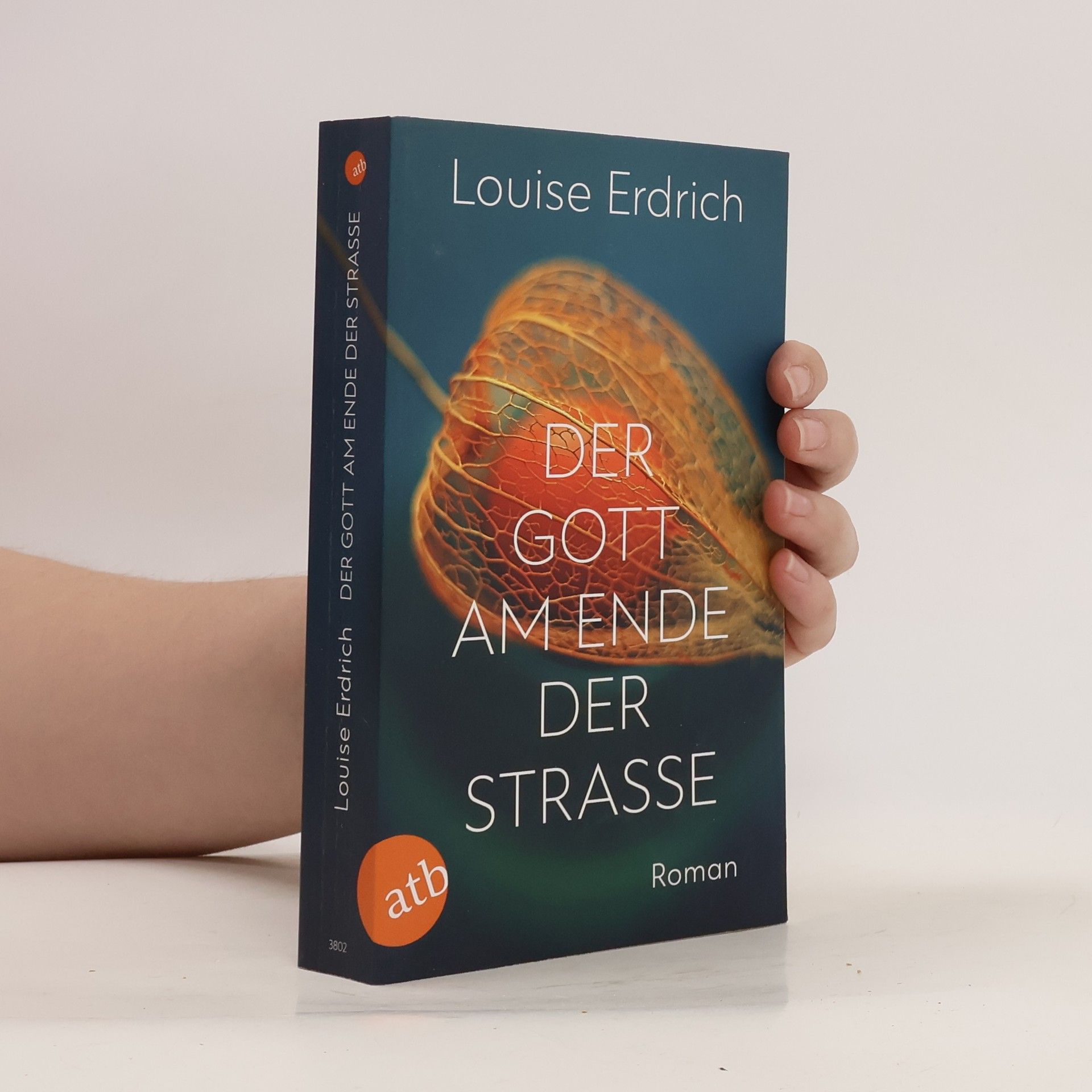 Louise Erdrich Der Gott am Ende der Straße