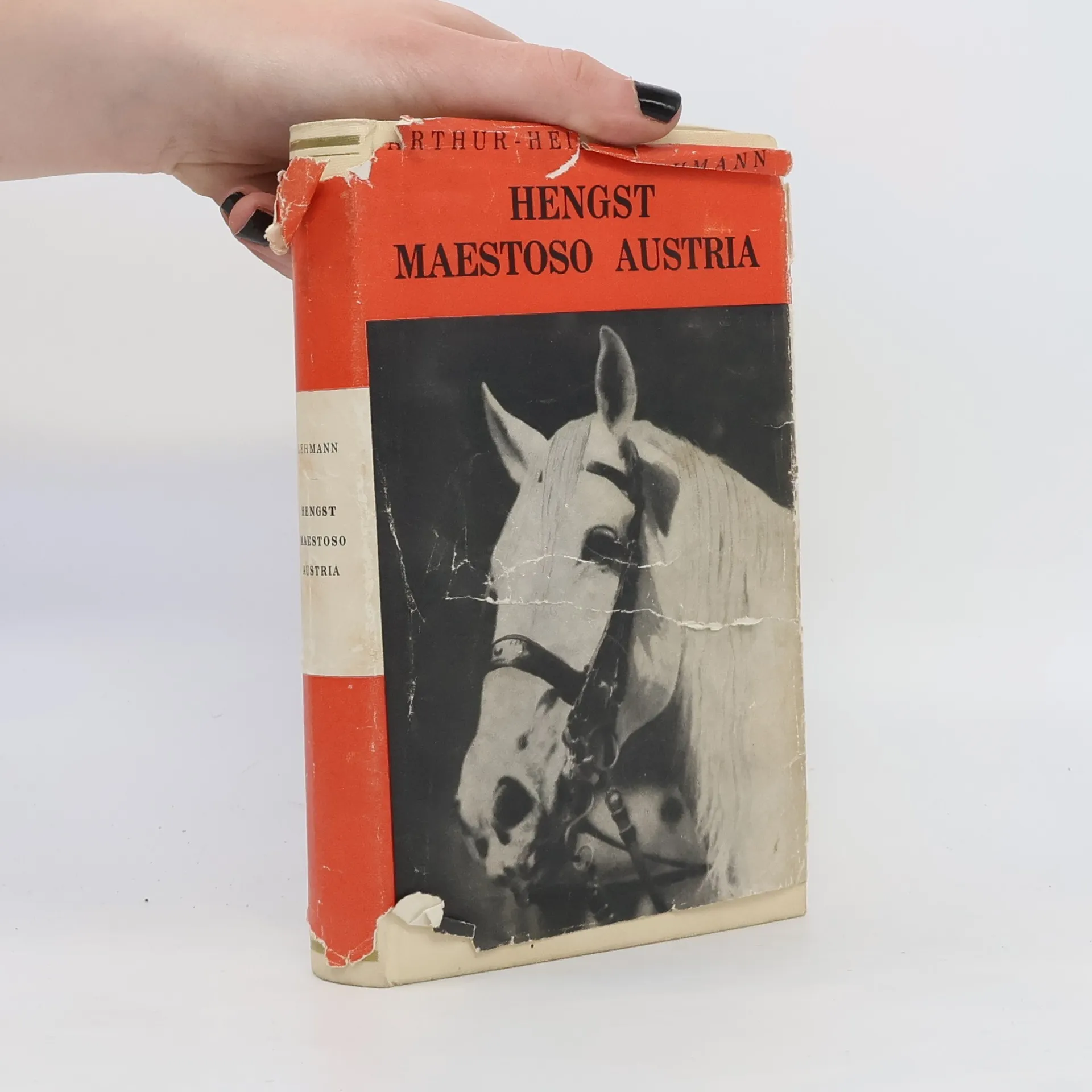 Hengst Maestoso Austria | Kniha | pevná | Arthur-Heinz Lehmann | DE