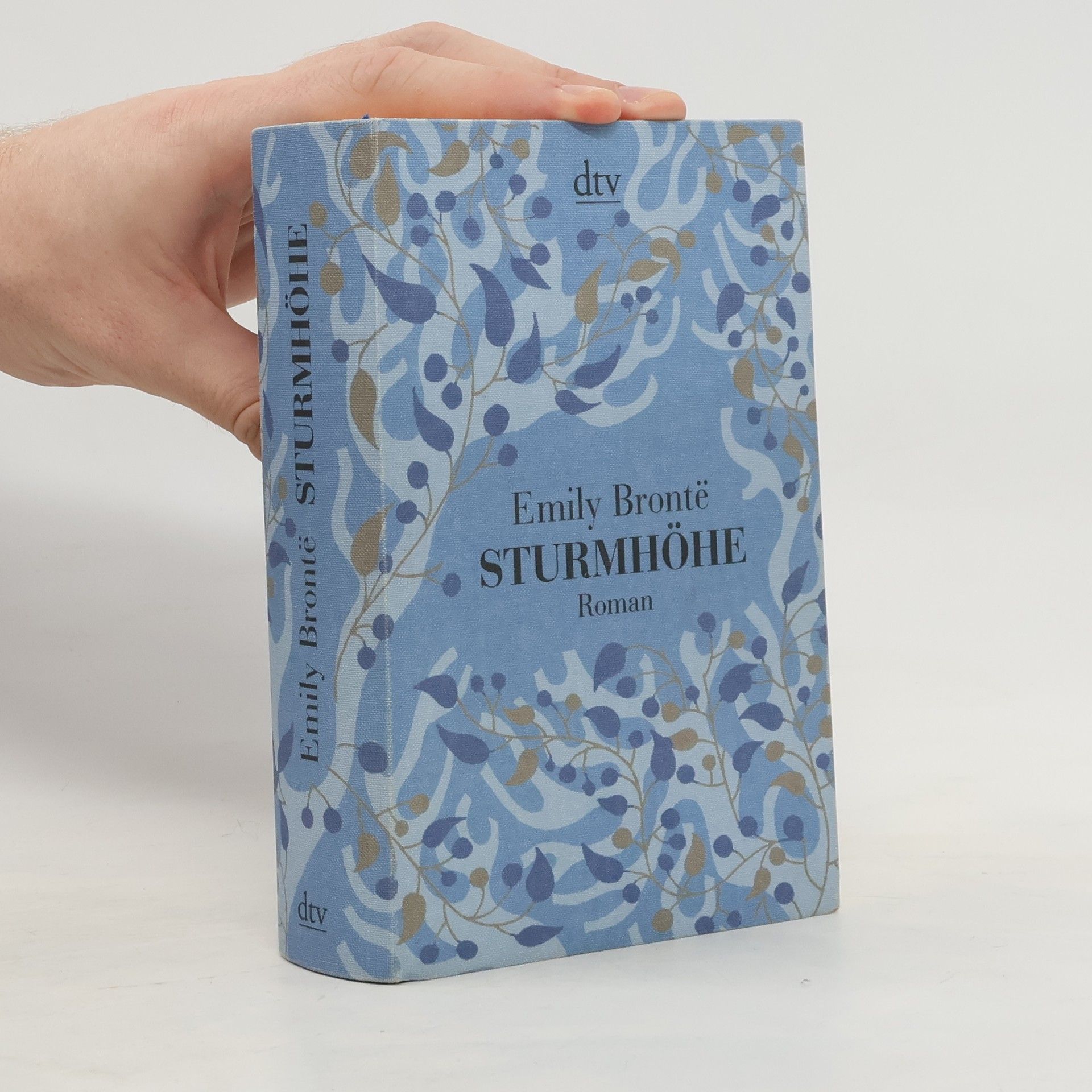 Emily Brontë Sturmhöhe