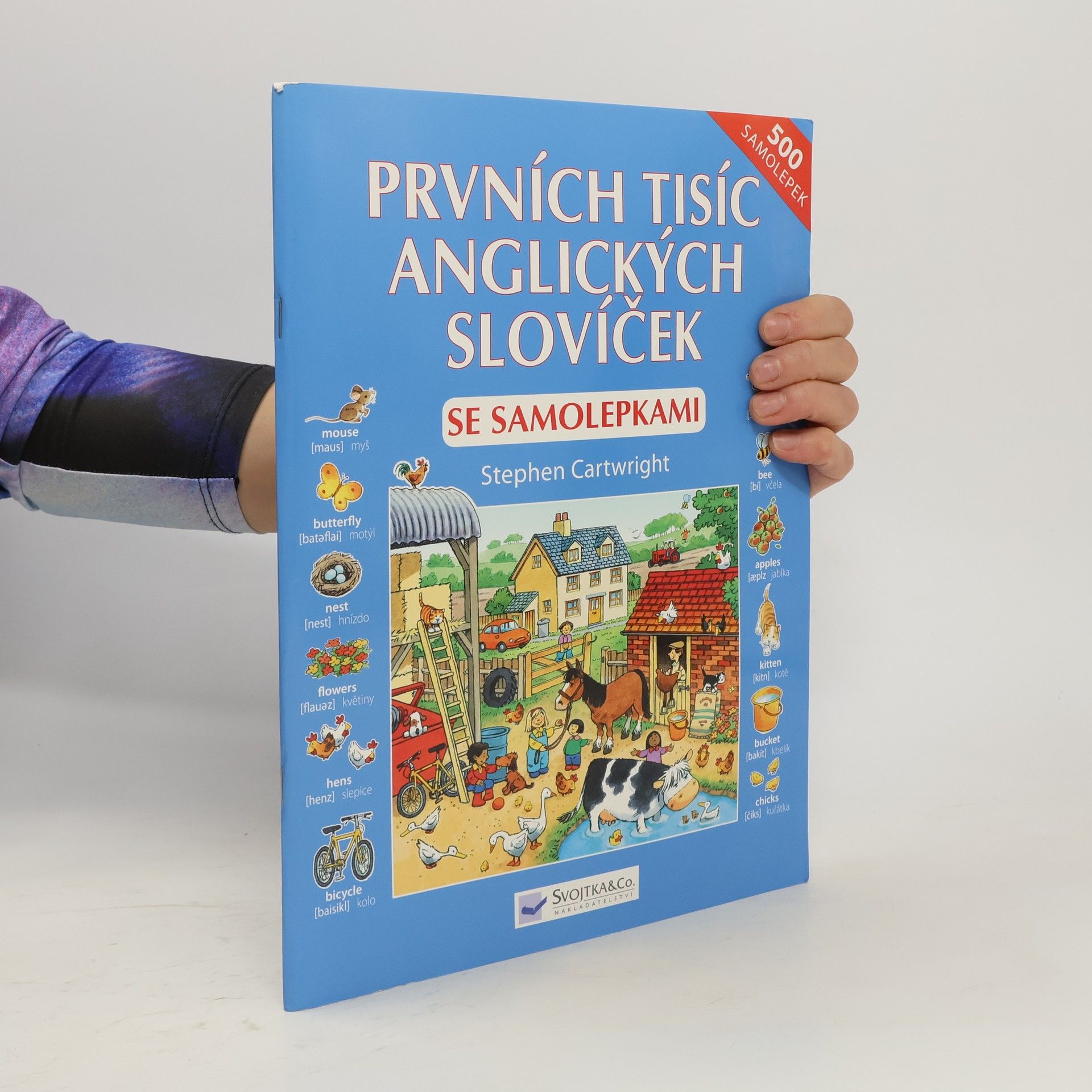Heather Amery Prvních tisíc anglických slovíček : se samolepkami