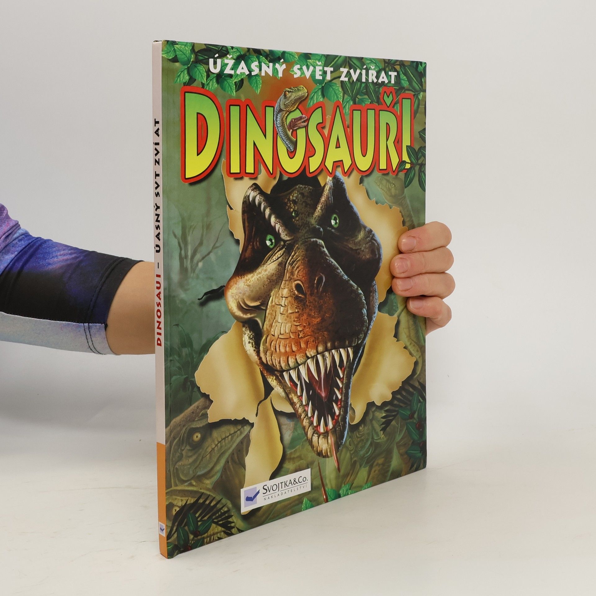 Martin Hrubeš Dinosauři : úžasný svět zvířat