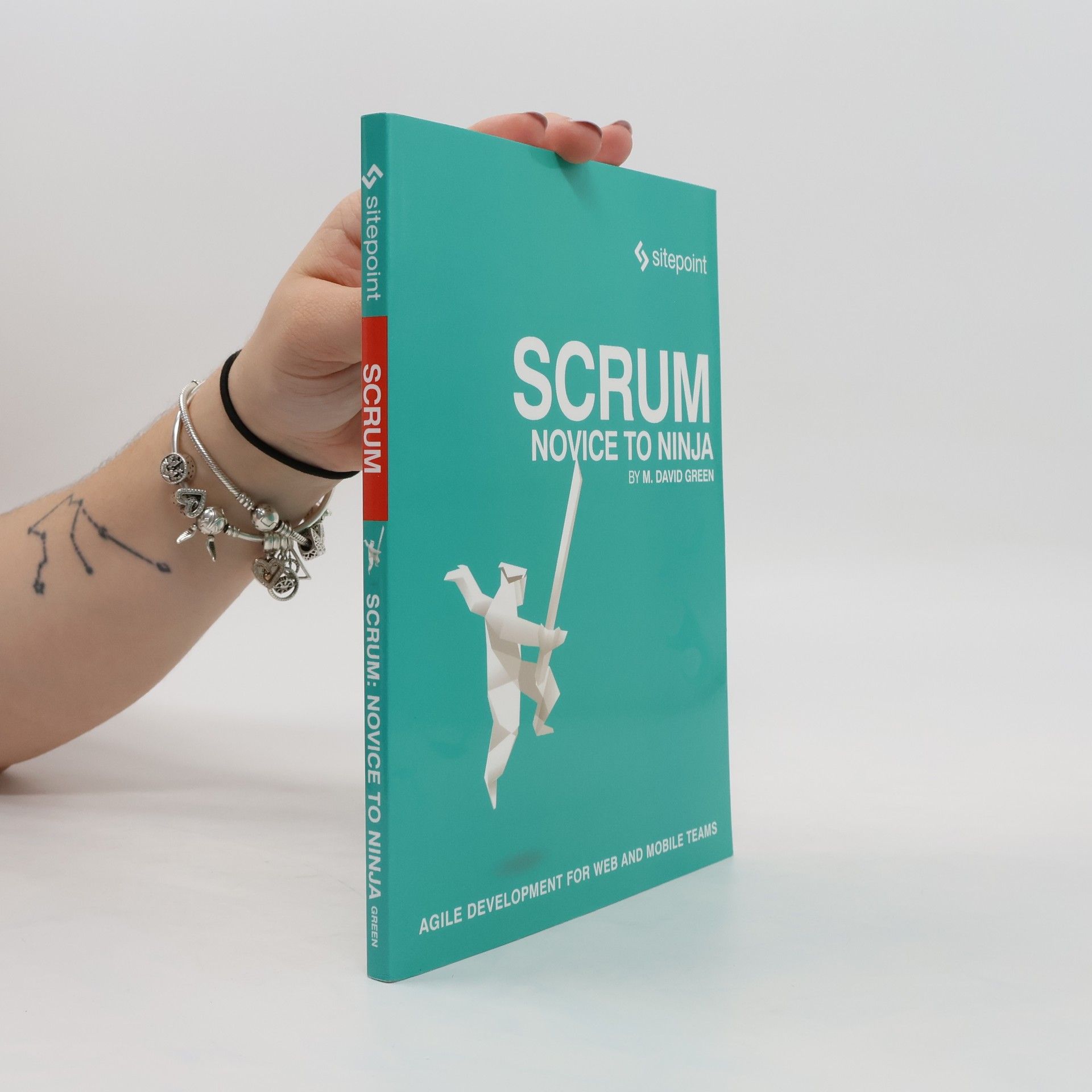 M. David Greem Scrum