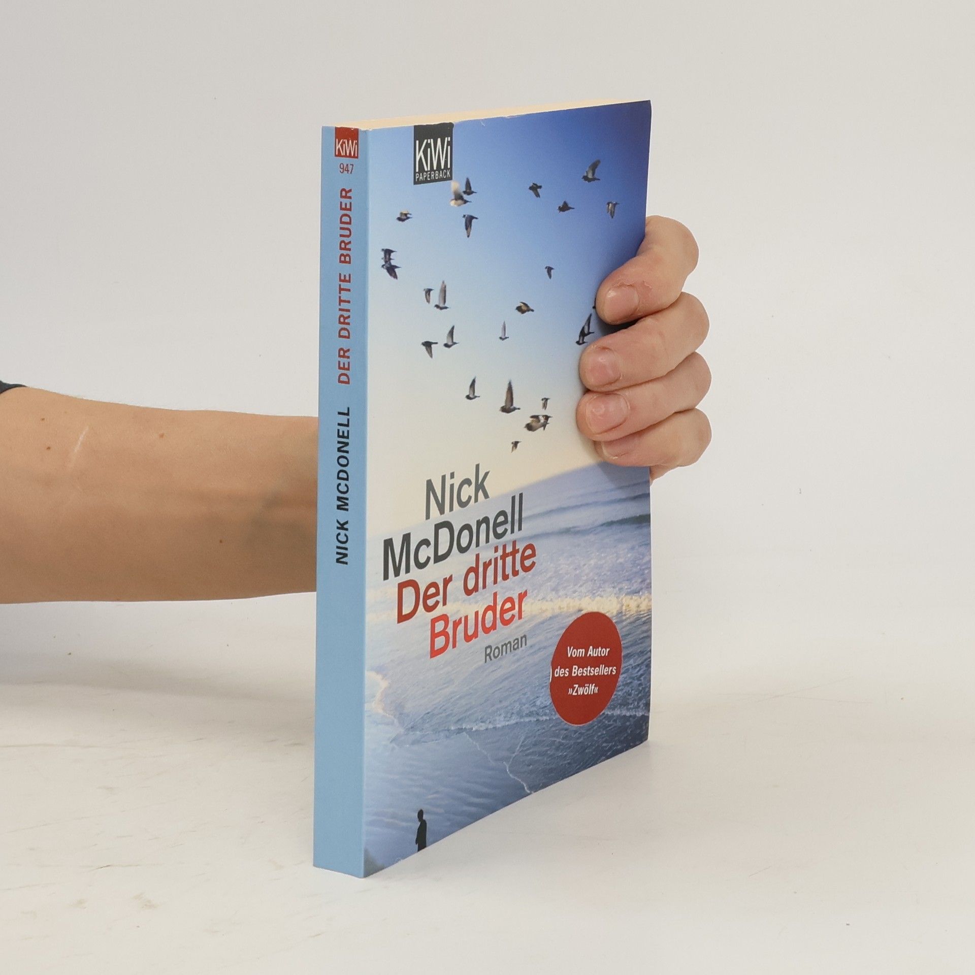 Nick McDonell Der dritte Bruder