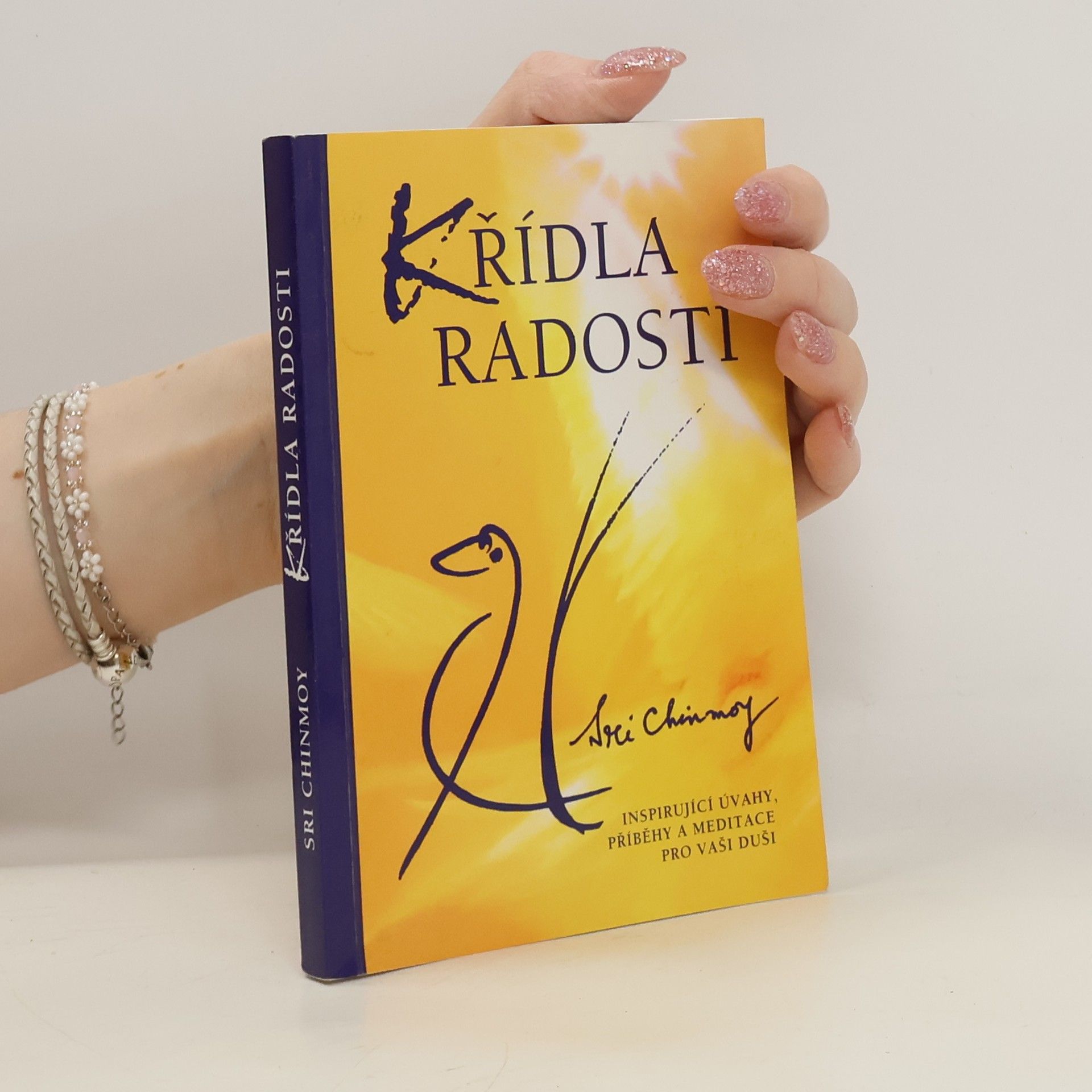 Sri Chinmoy Křídla radosti