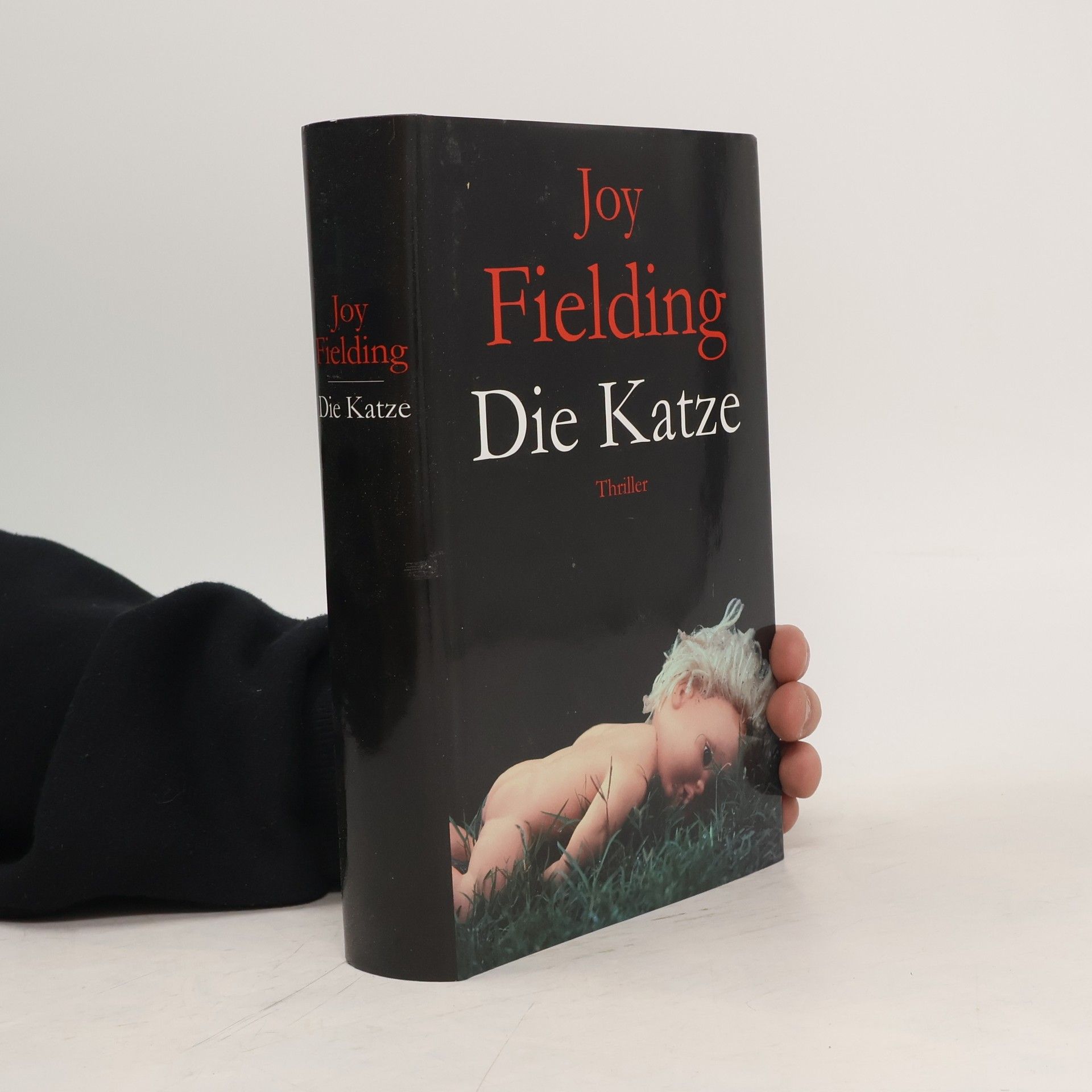 Joy Fielding Die Katze