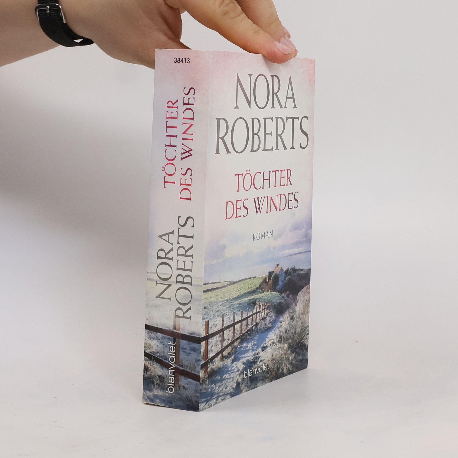 Nora Roberts Töchter des Windes